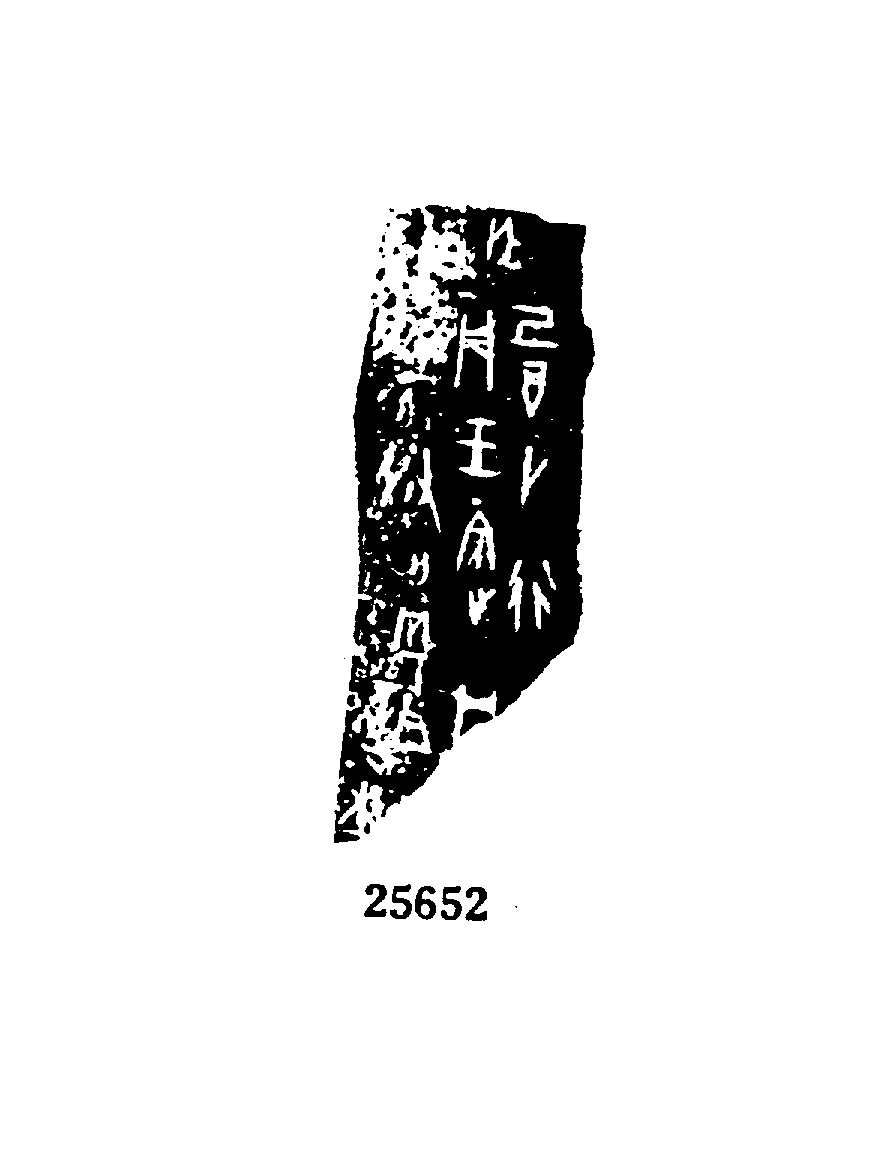 点击图片看大图