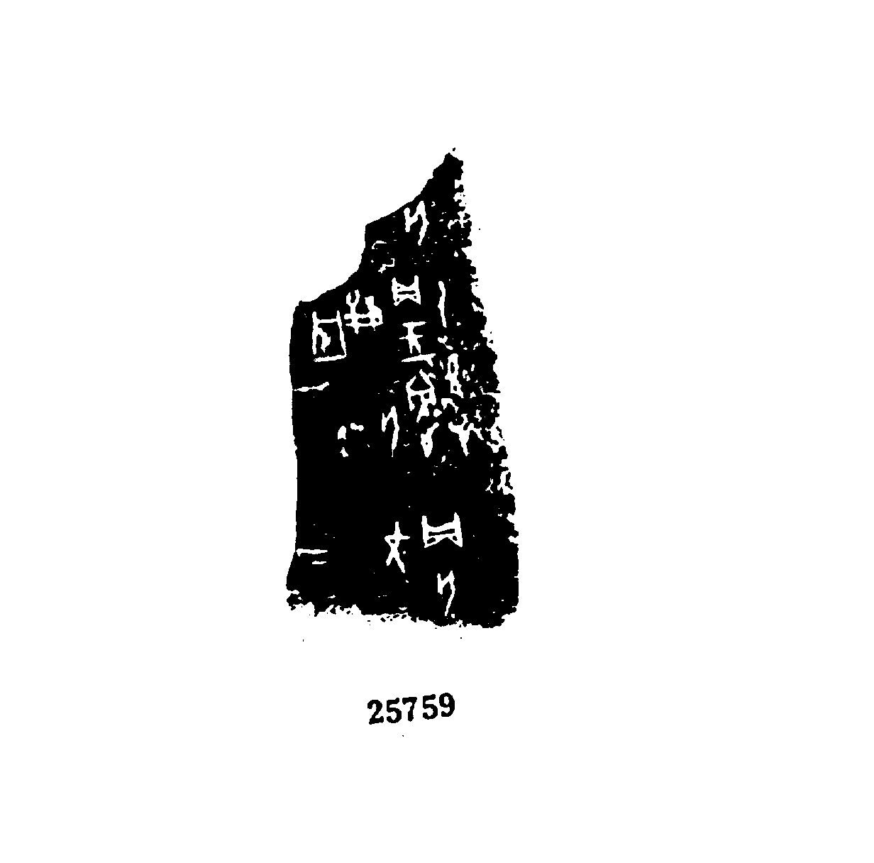 点击图片看大图