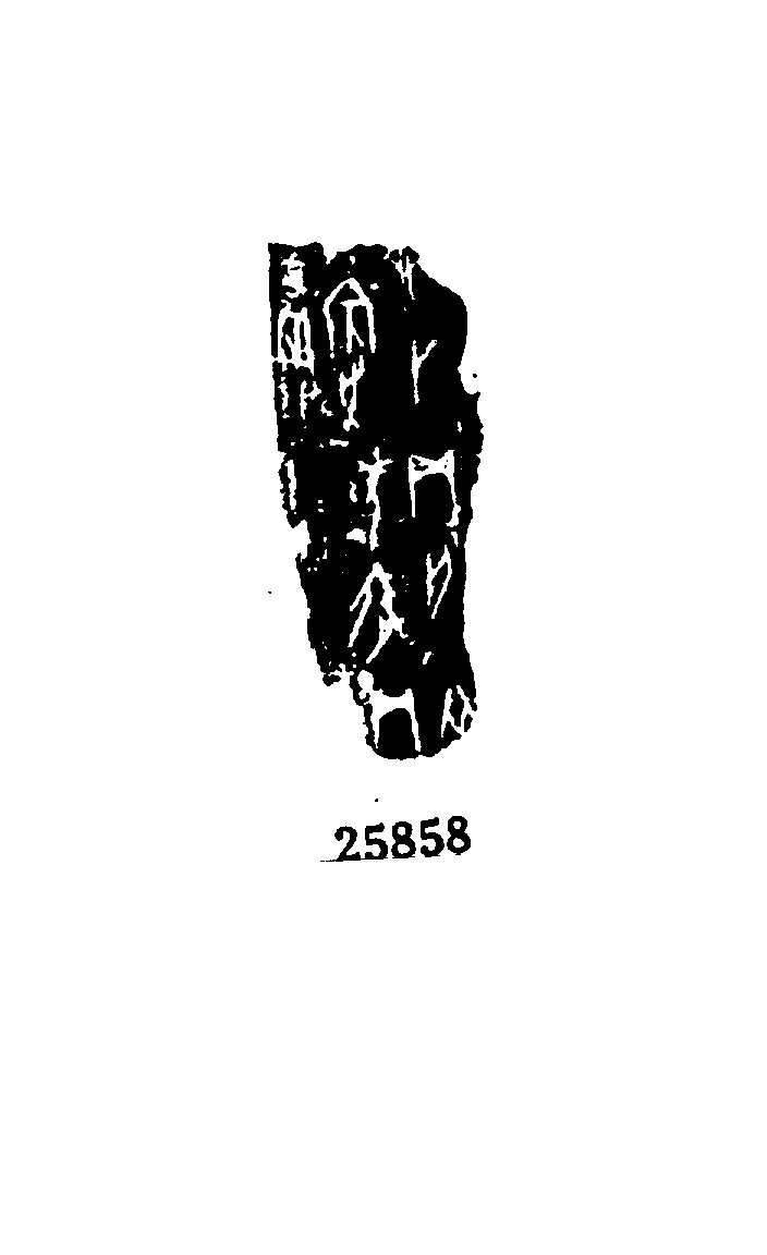 点击图片看大图