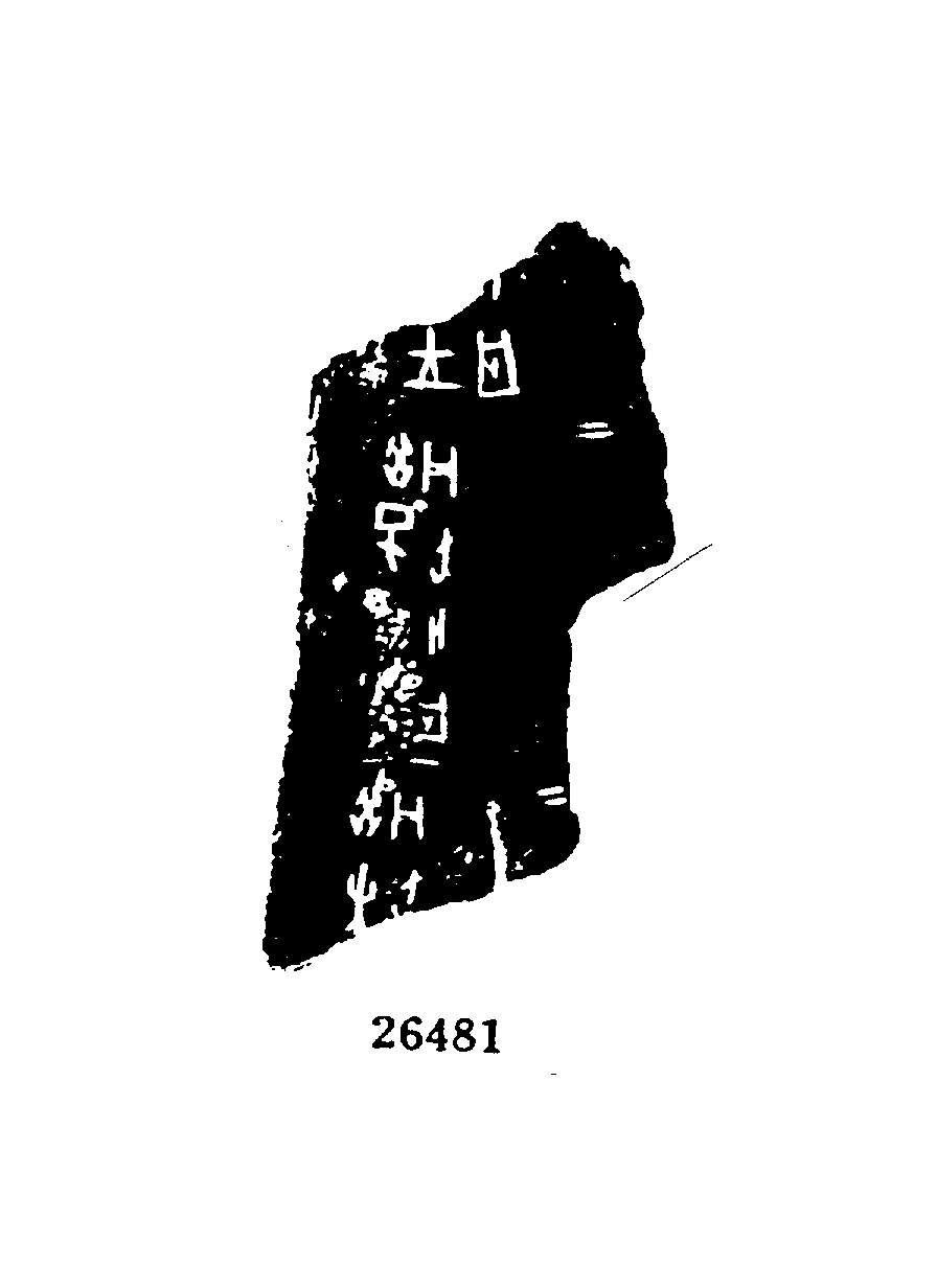 点击图片看大图