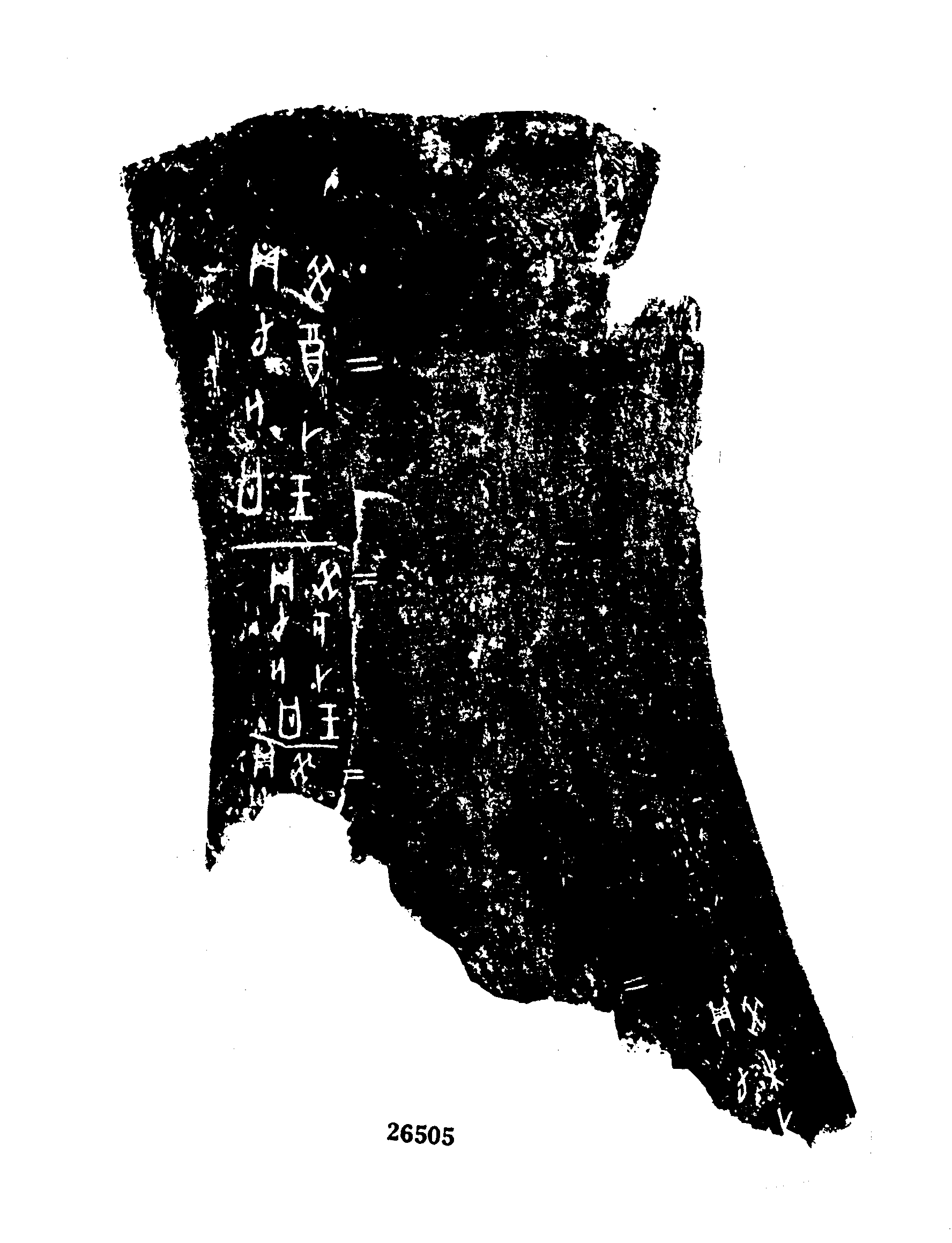 点击图片看大图