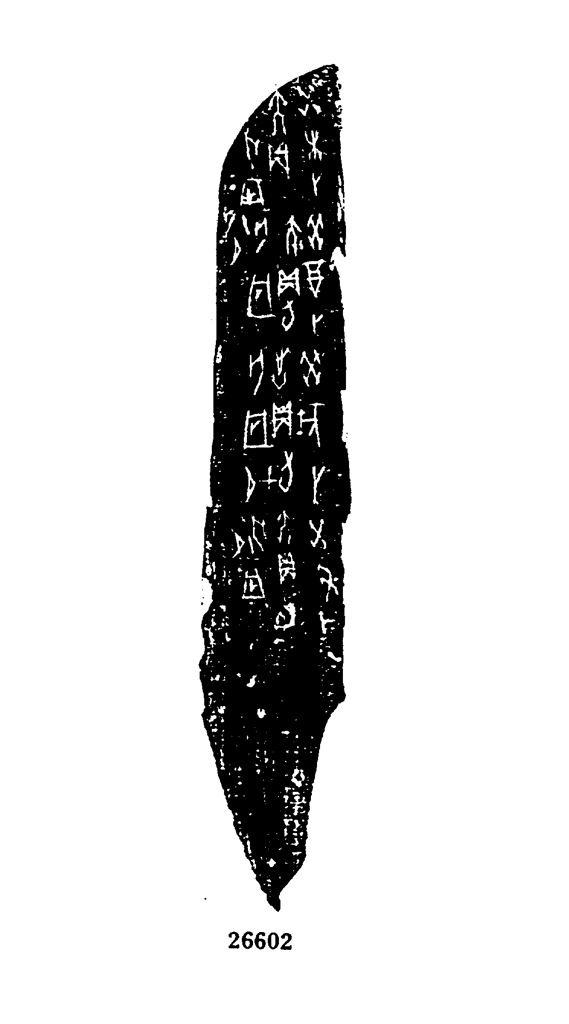 点击图片看大图