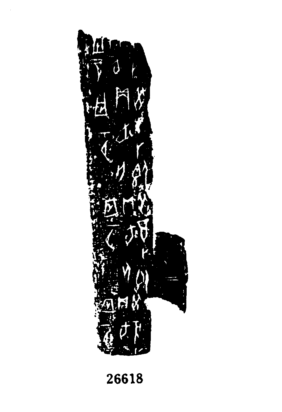 点击图片看大图