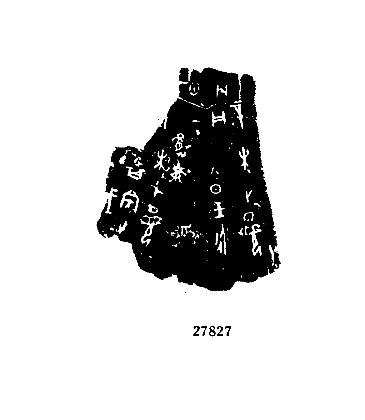 点击图片看大图