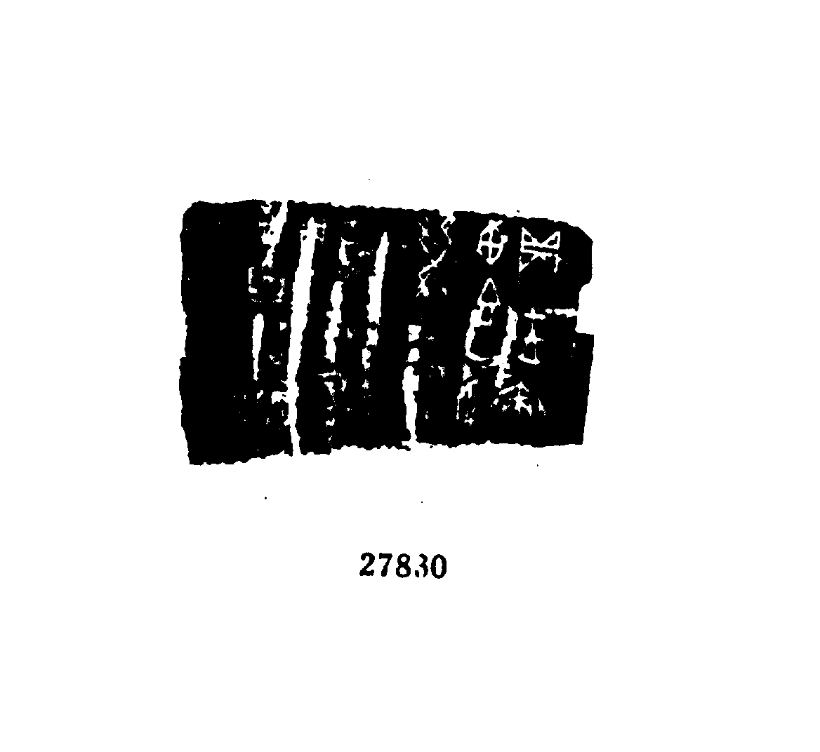 点击图片看大图