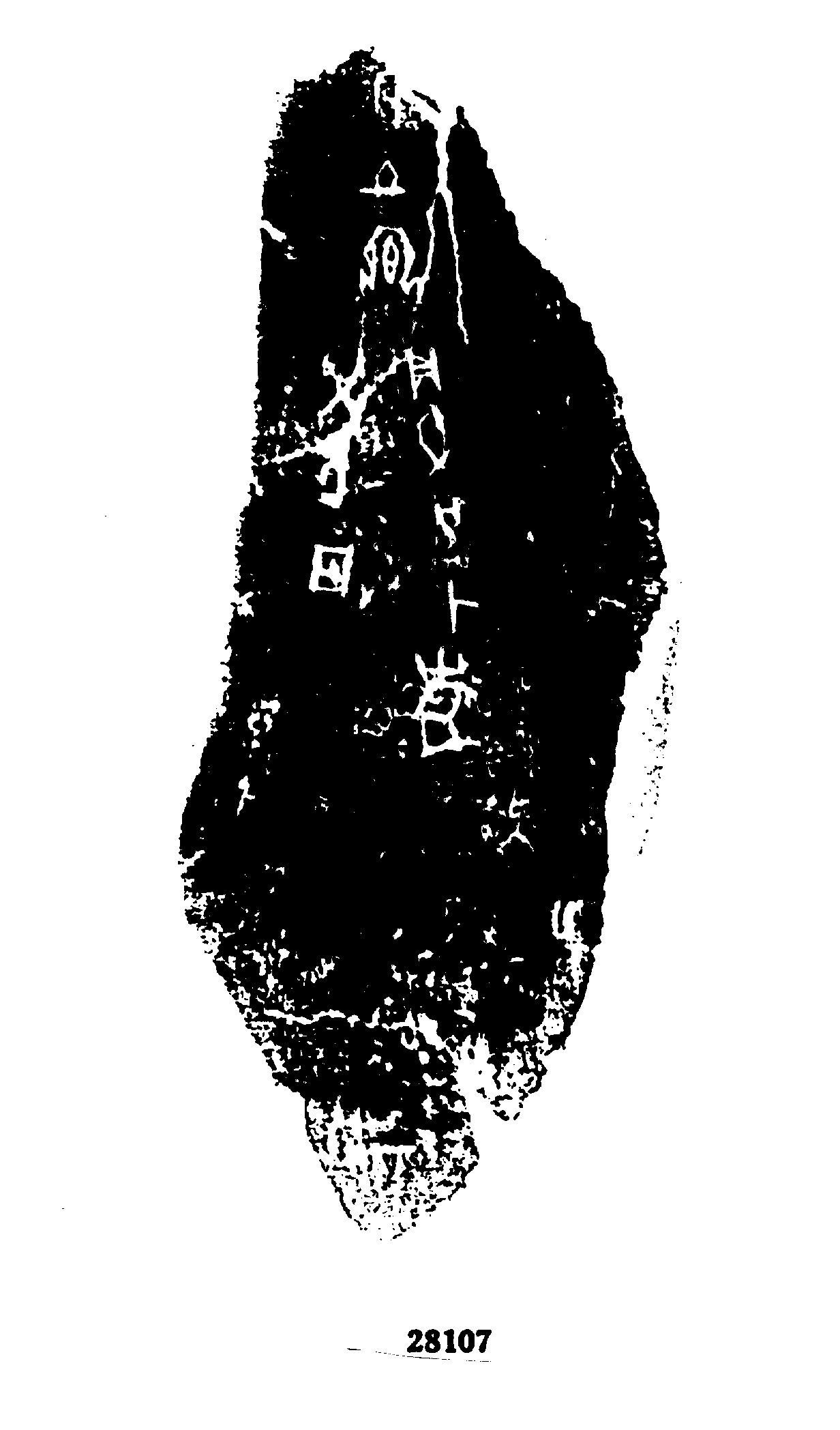 点击图片看大图