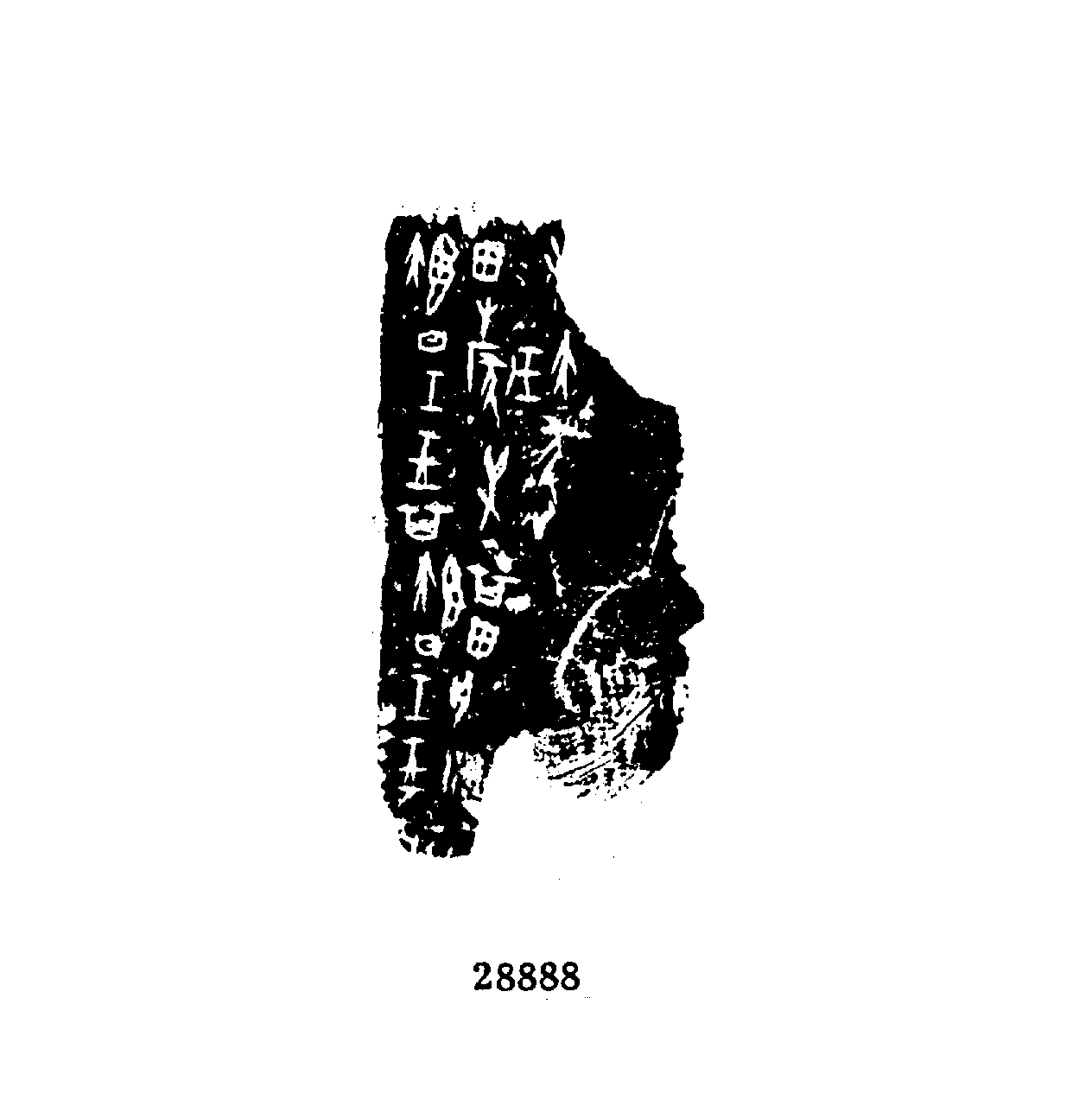 点击图片看大图