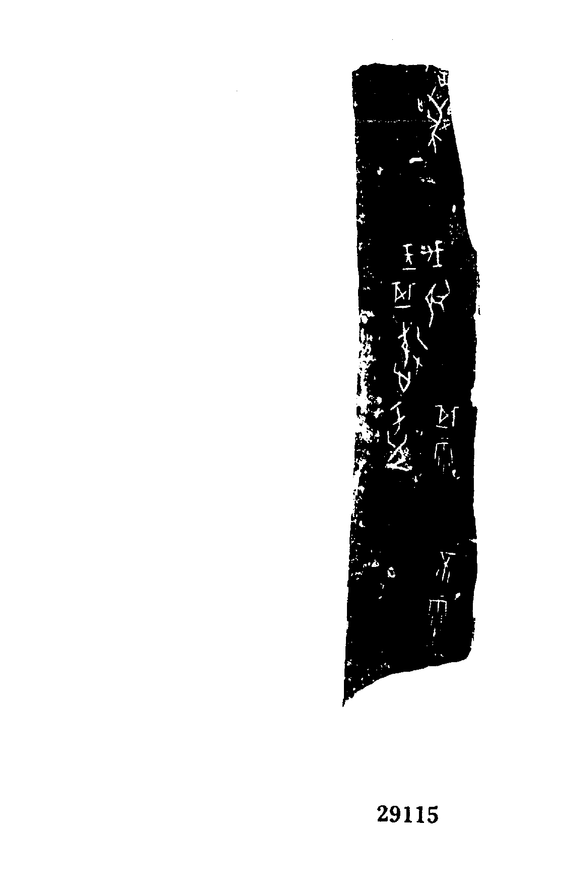 点击图片看大图