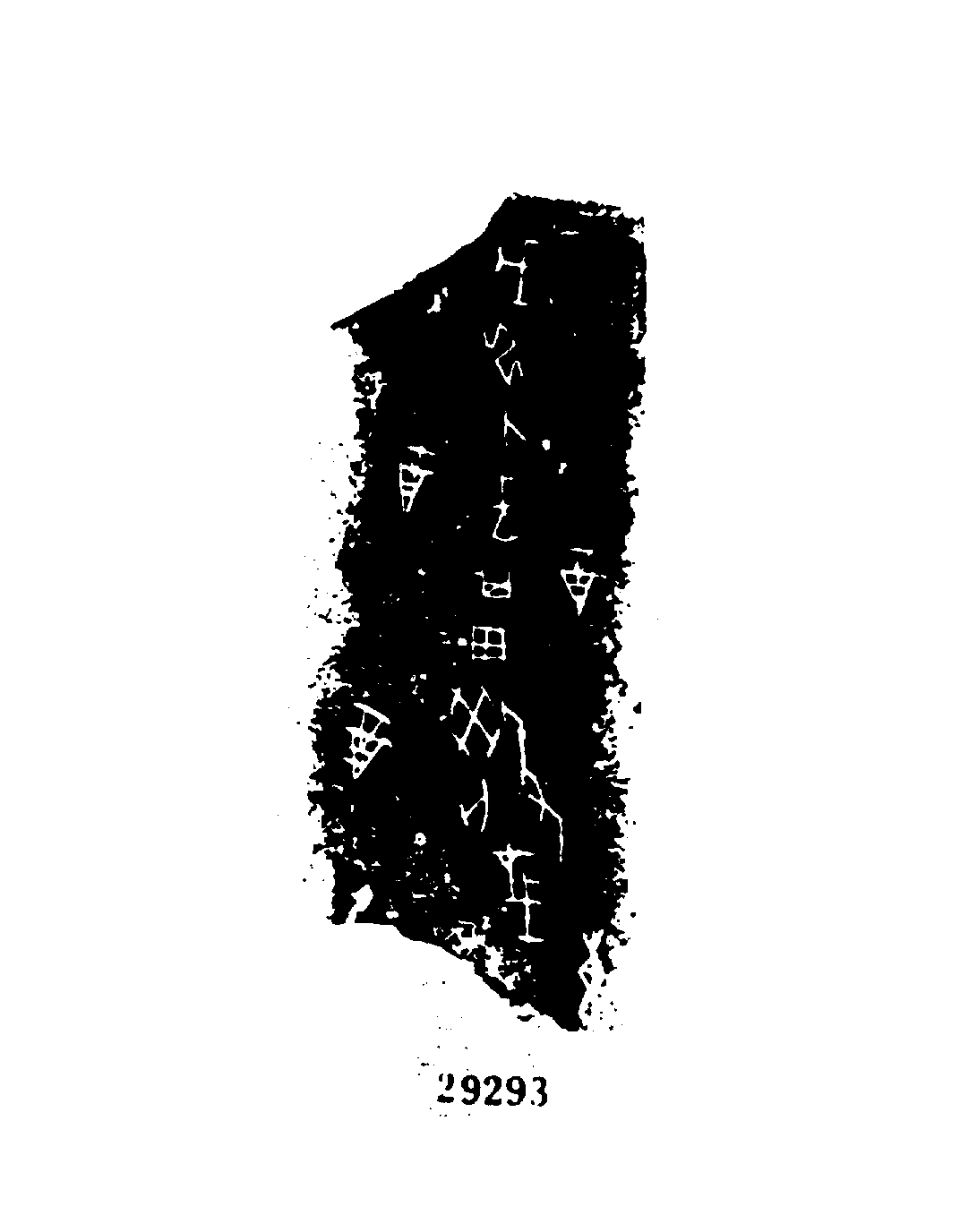 点击图片看大图