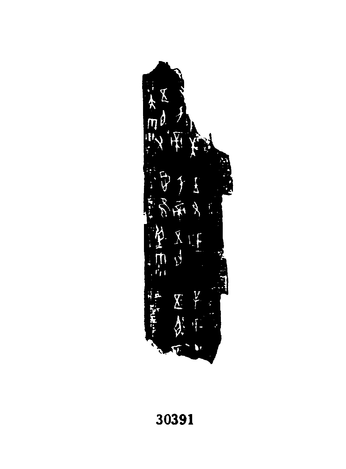 点击图片看大图