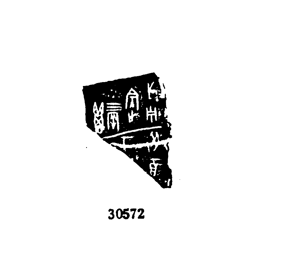 点击图片看大图