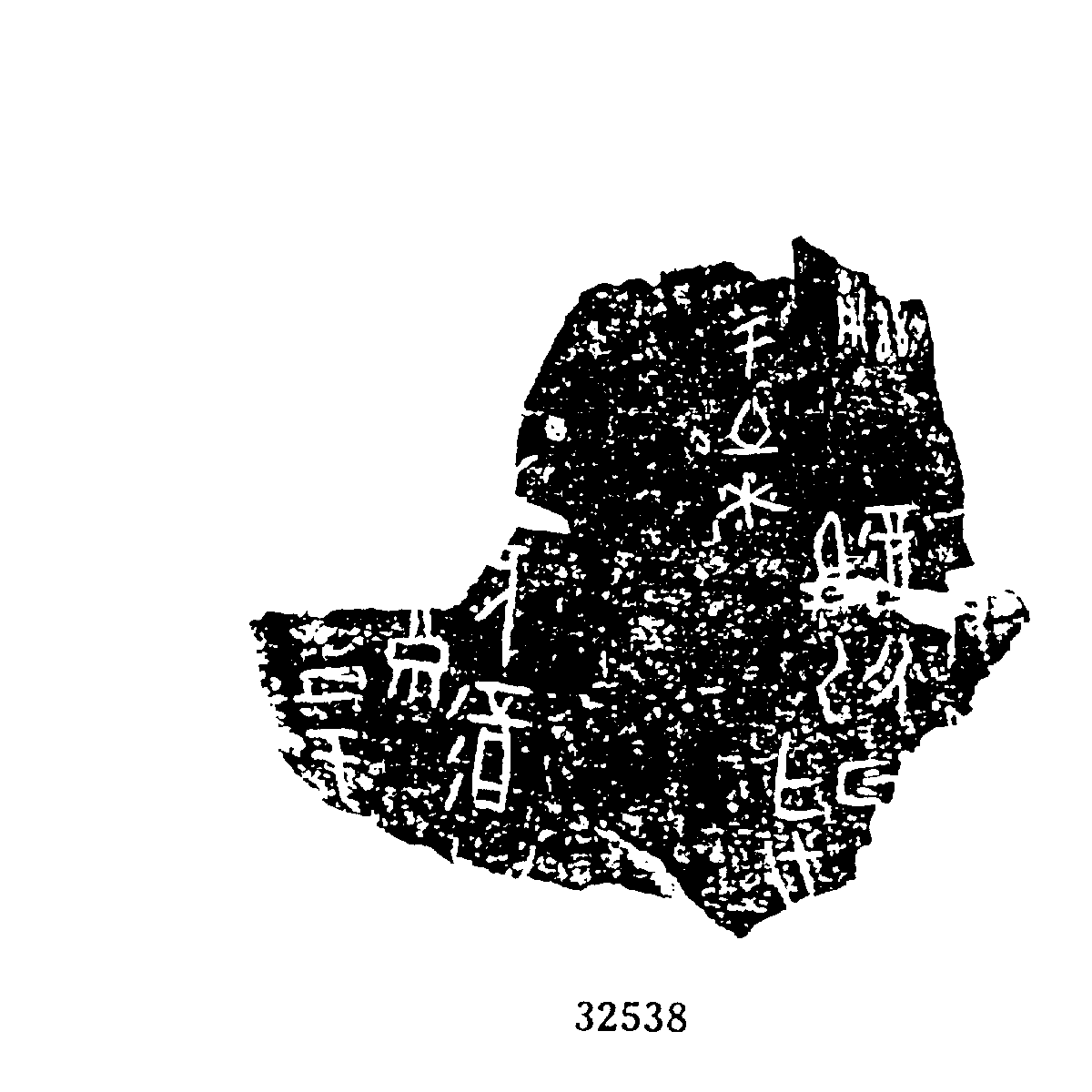 点击图片看大图