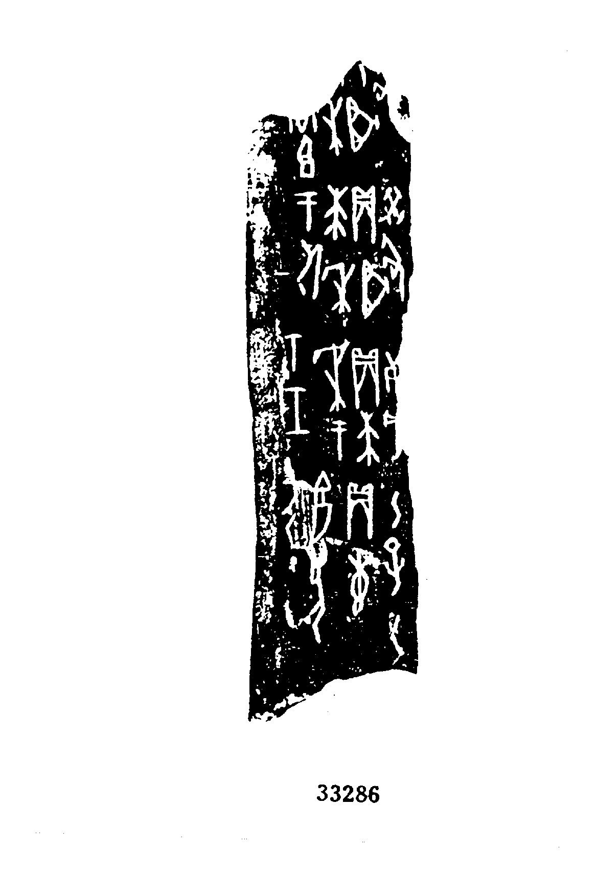点击图片看大图