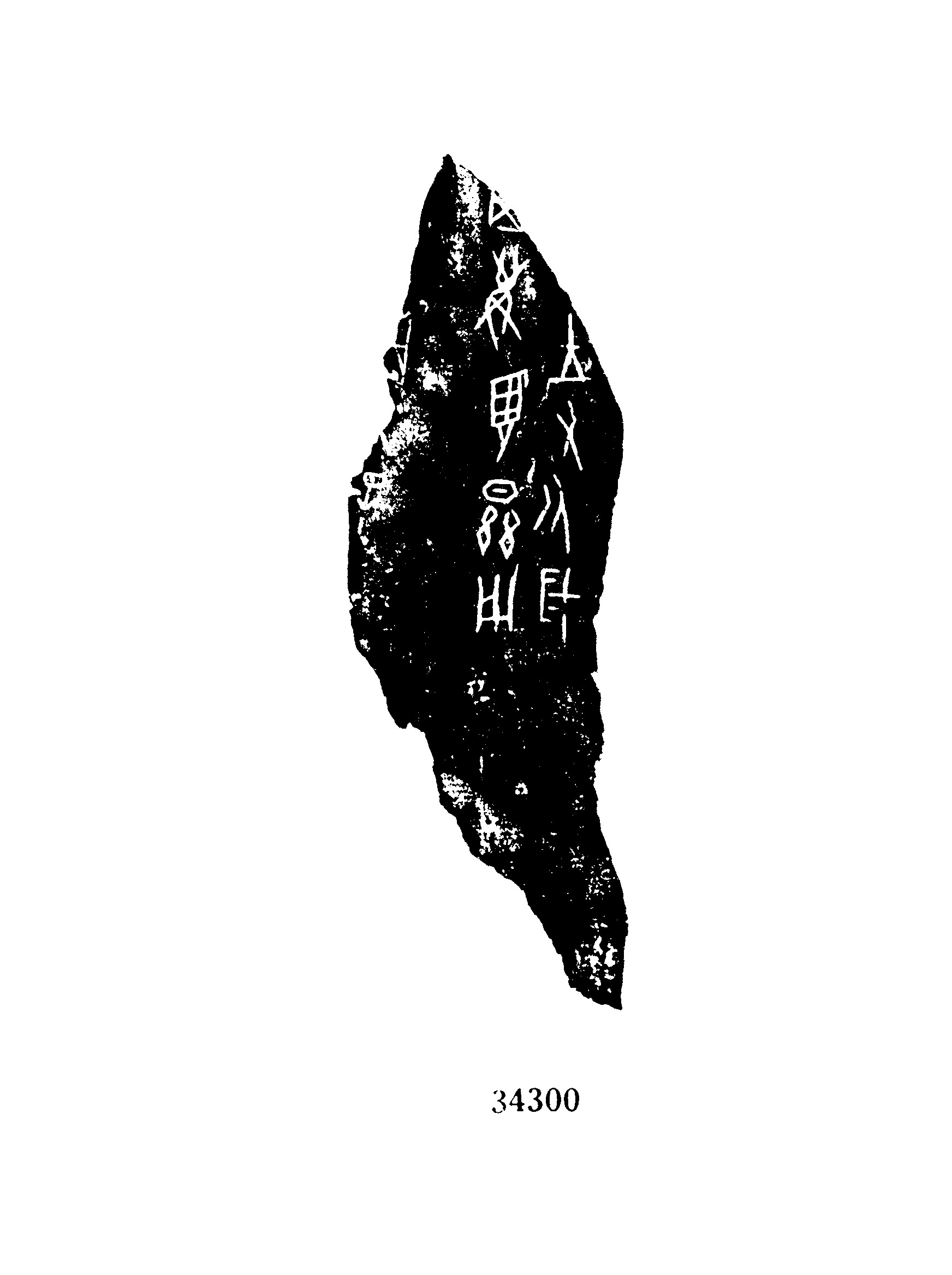 点击图片看大图