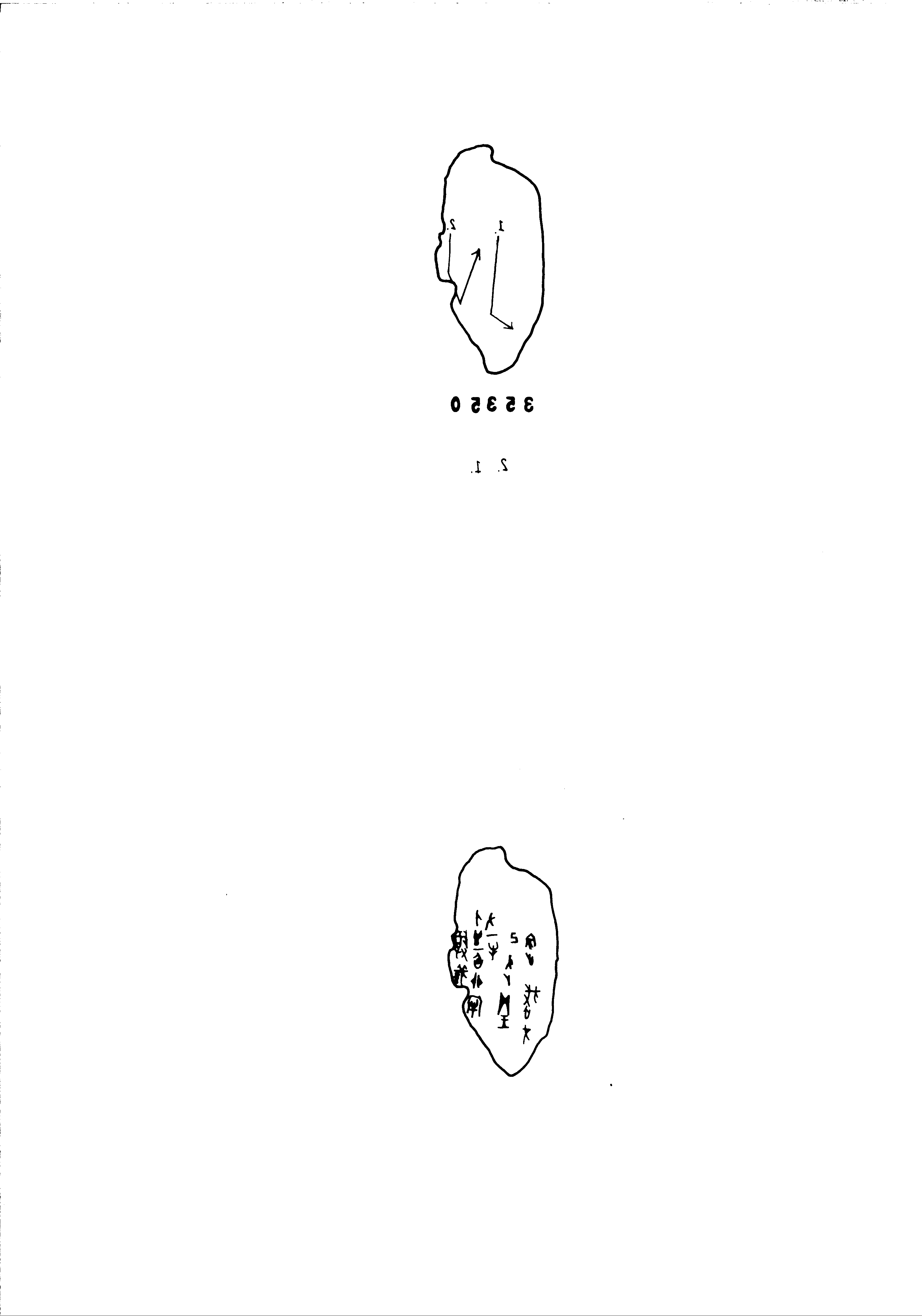 点击图片看大图