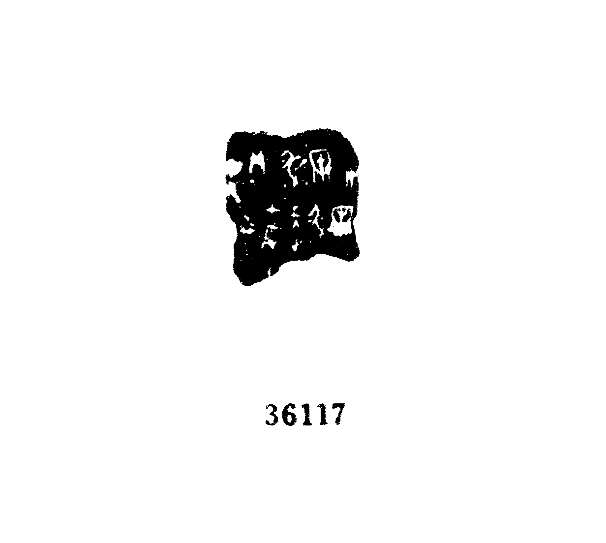 点击图片看大图