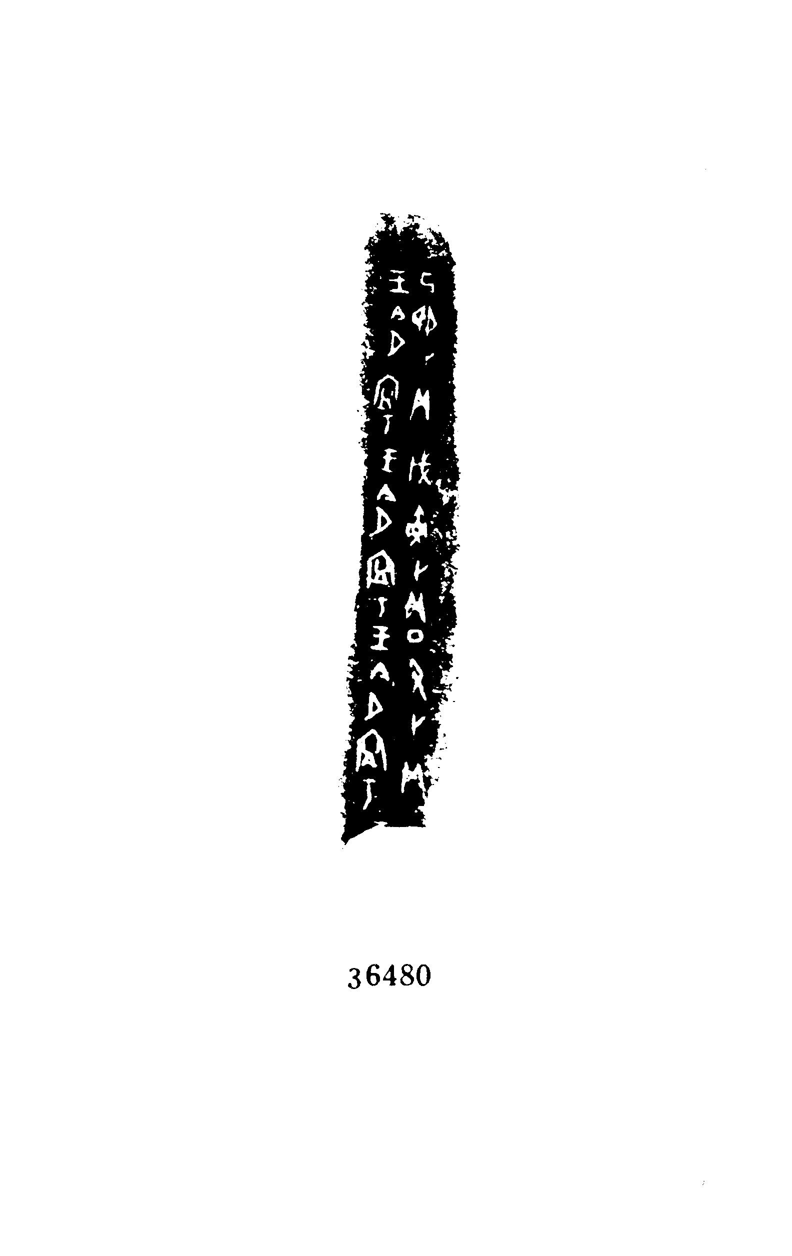 点击图片看大图