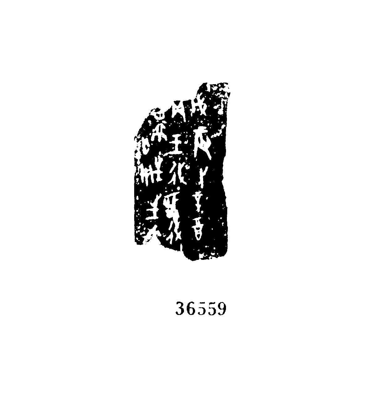 点击图片看大图