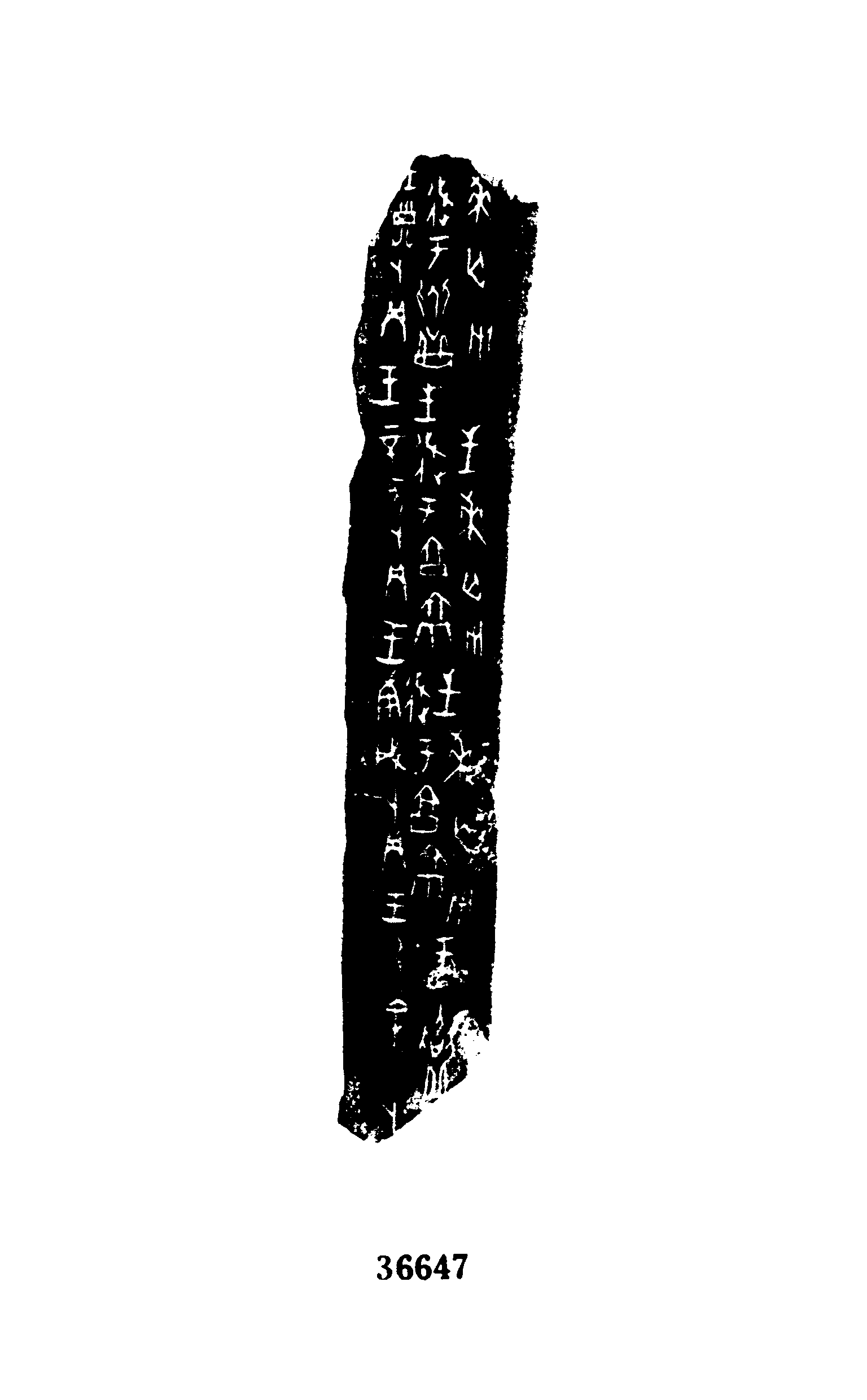 点击图片看大图