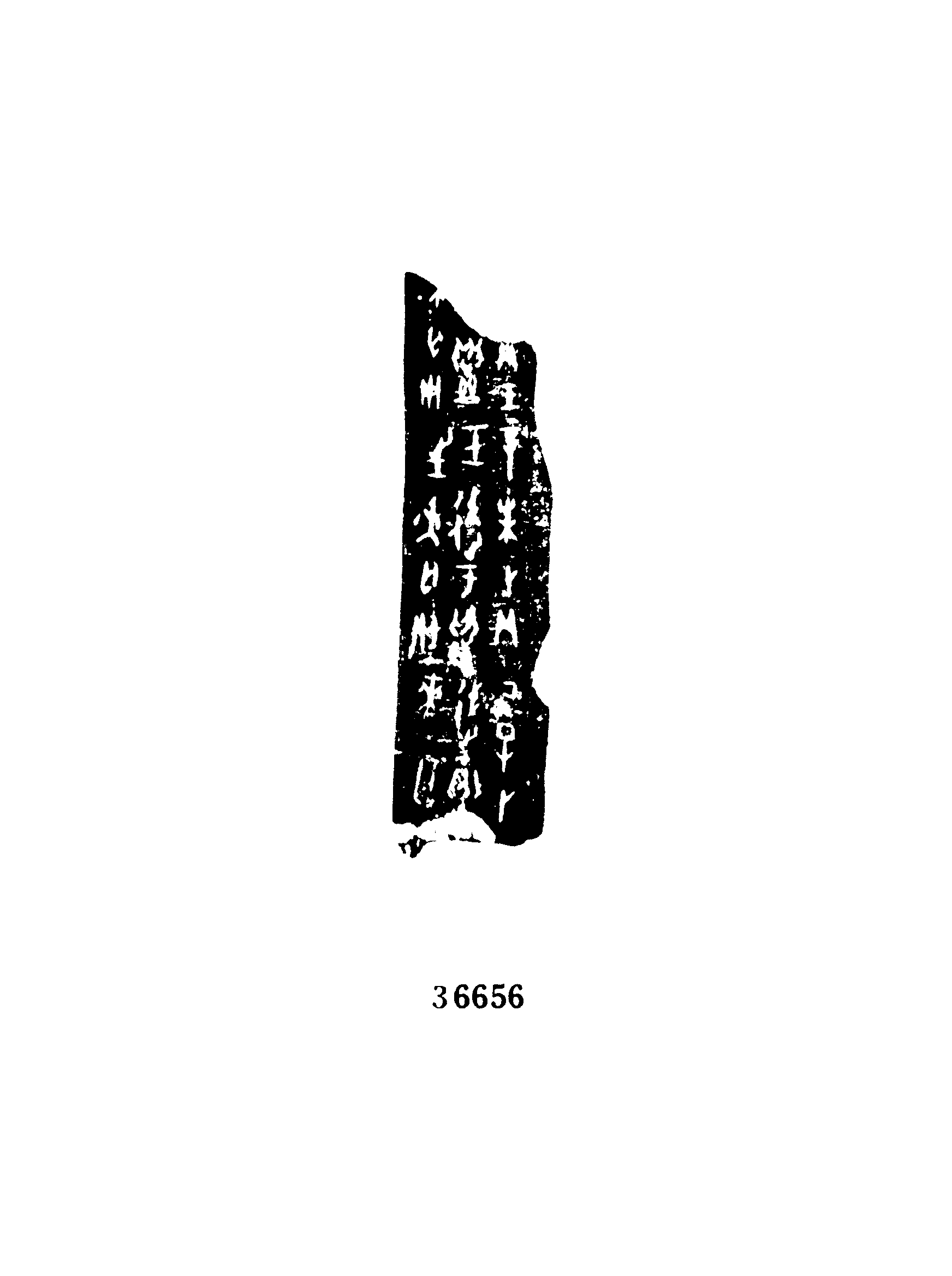 点击图片看大图