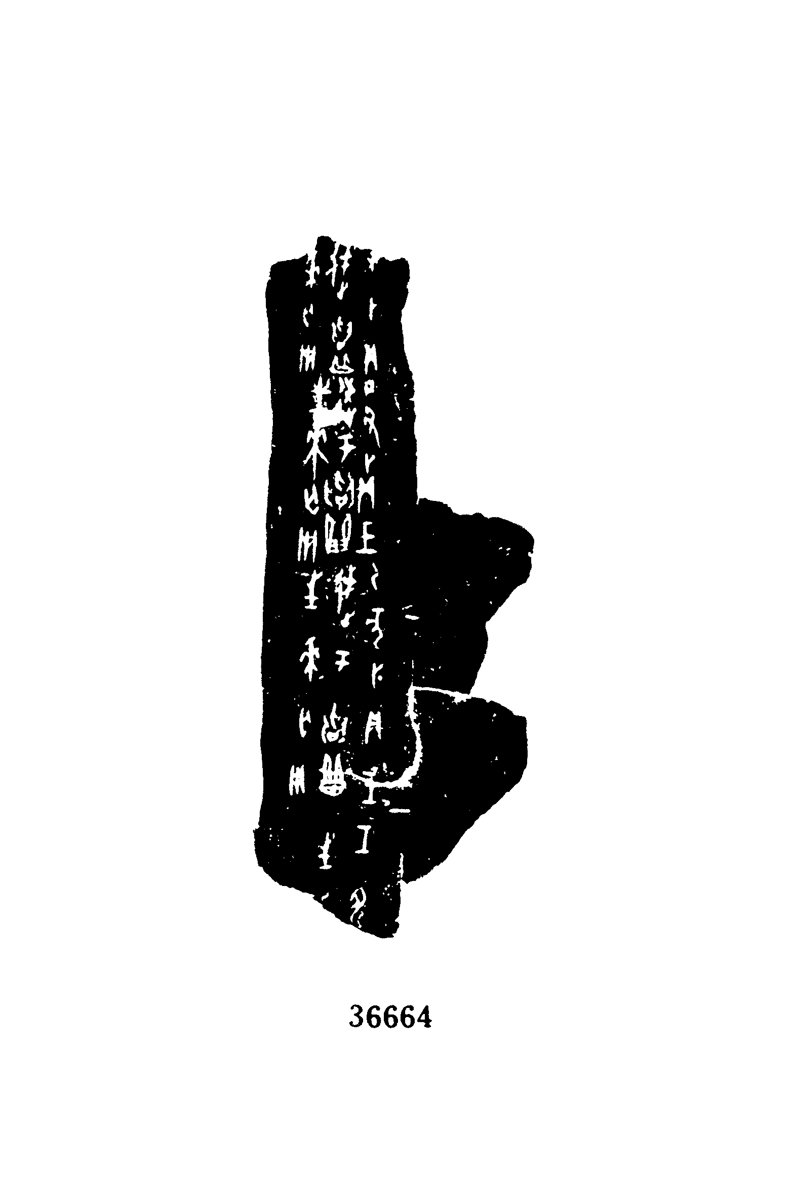 点击图片看大图