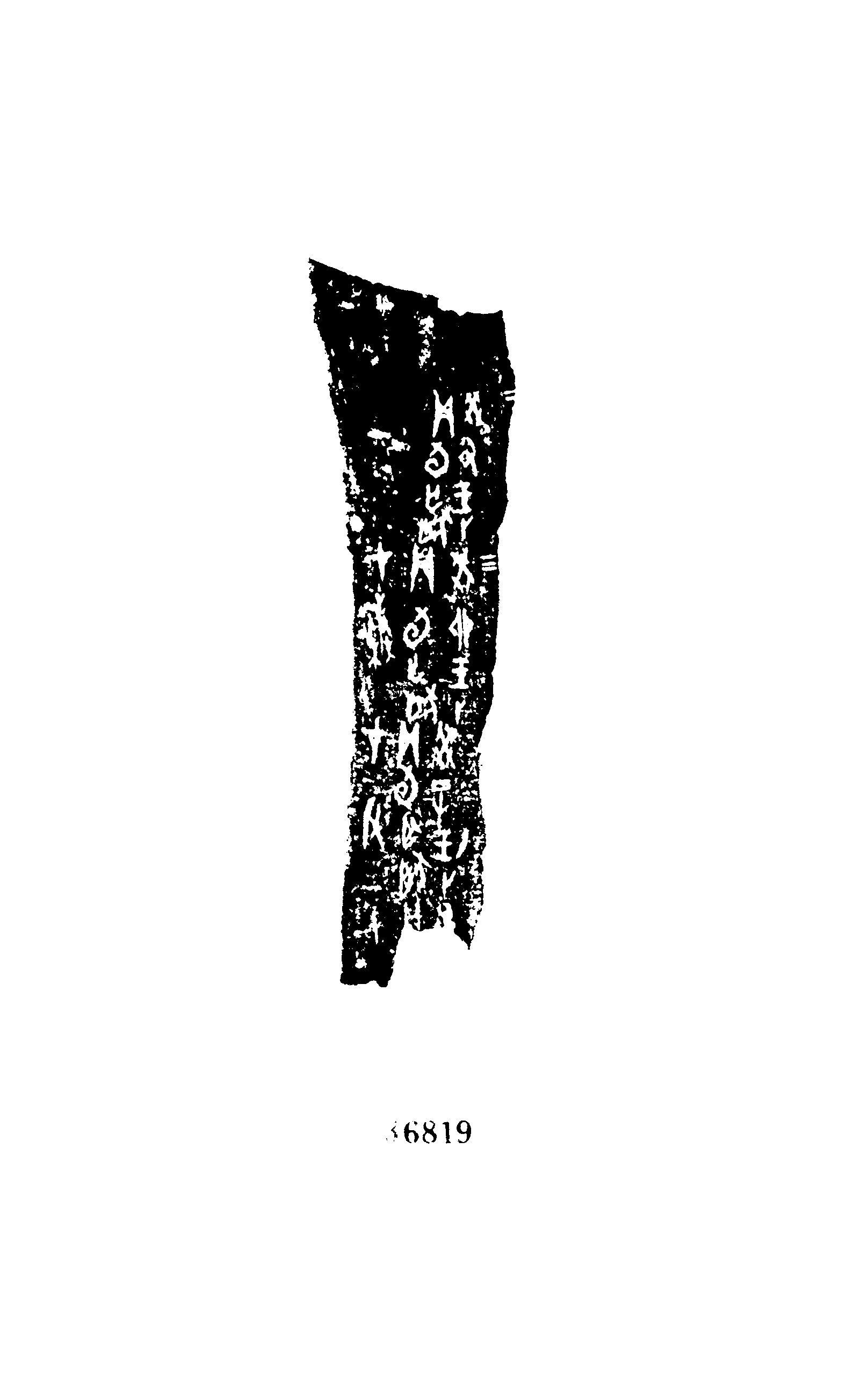 点击图片看大图