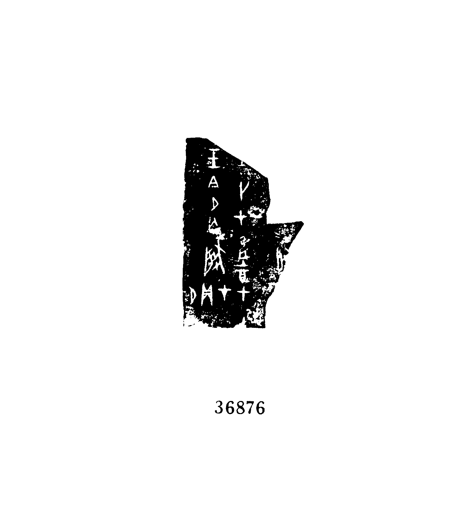 点击图片看大图