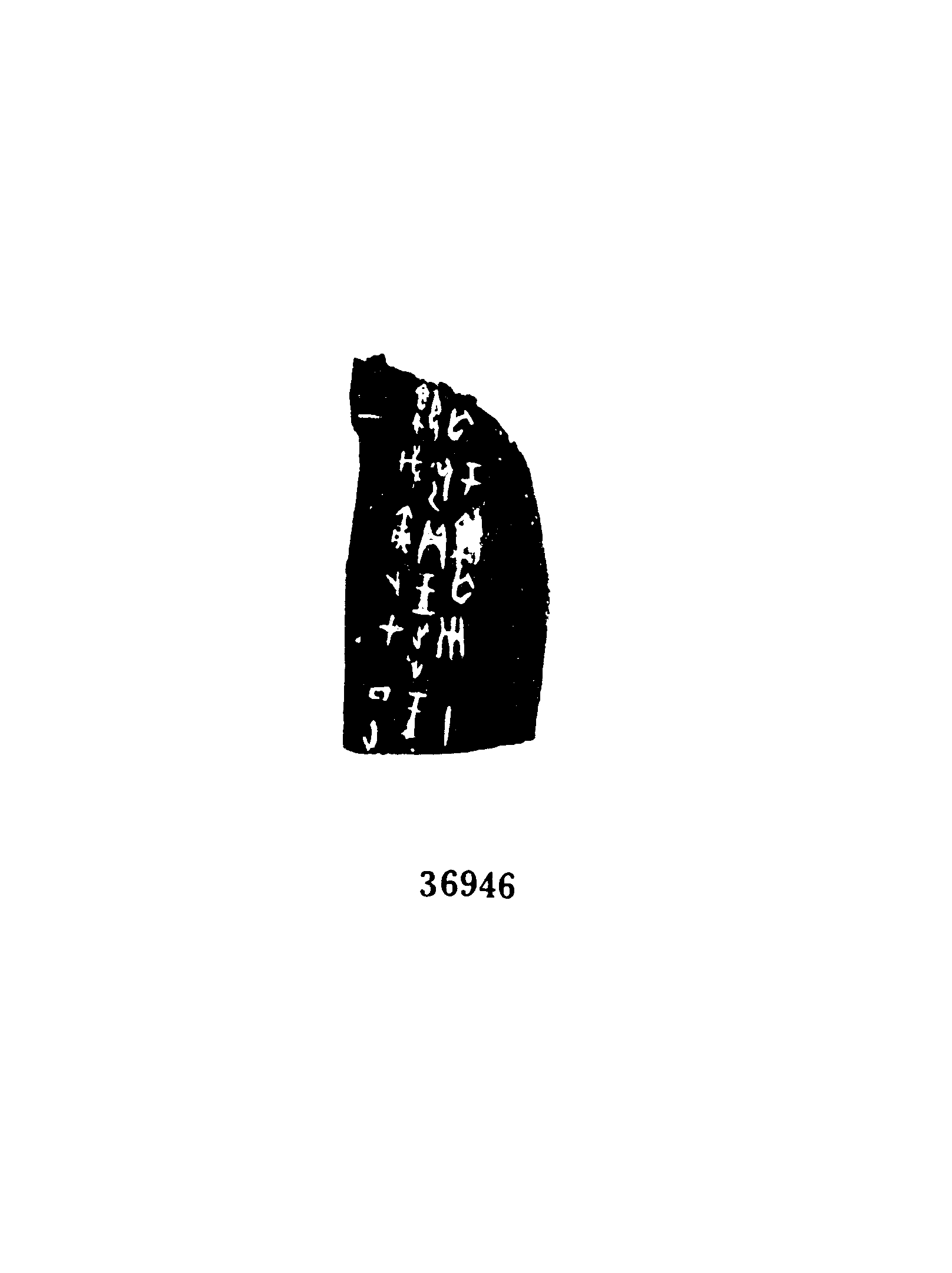 点击图片看大图