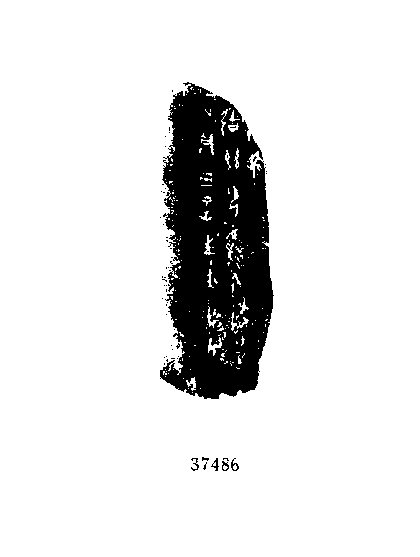 点击图片看大图