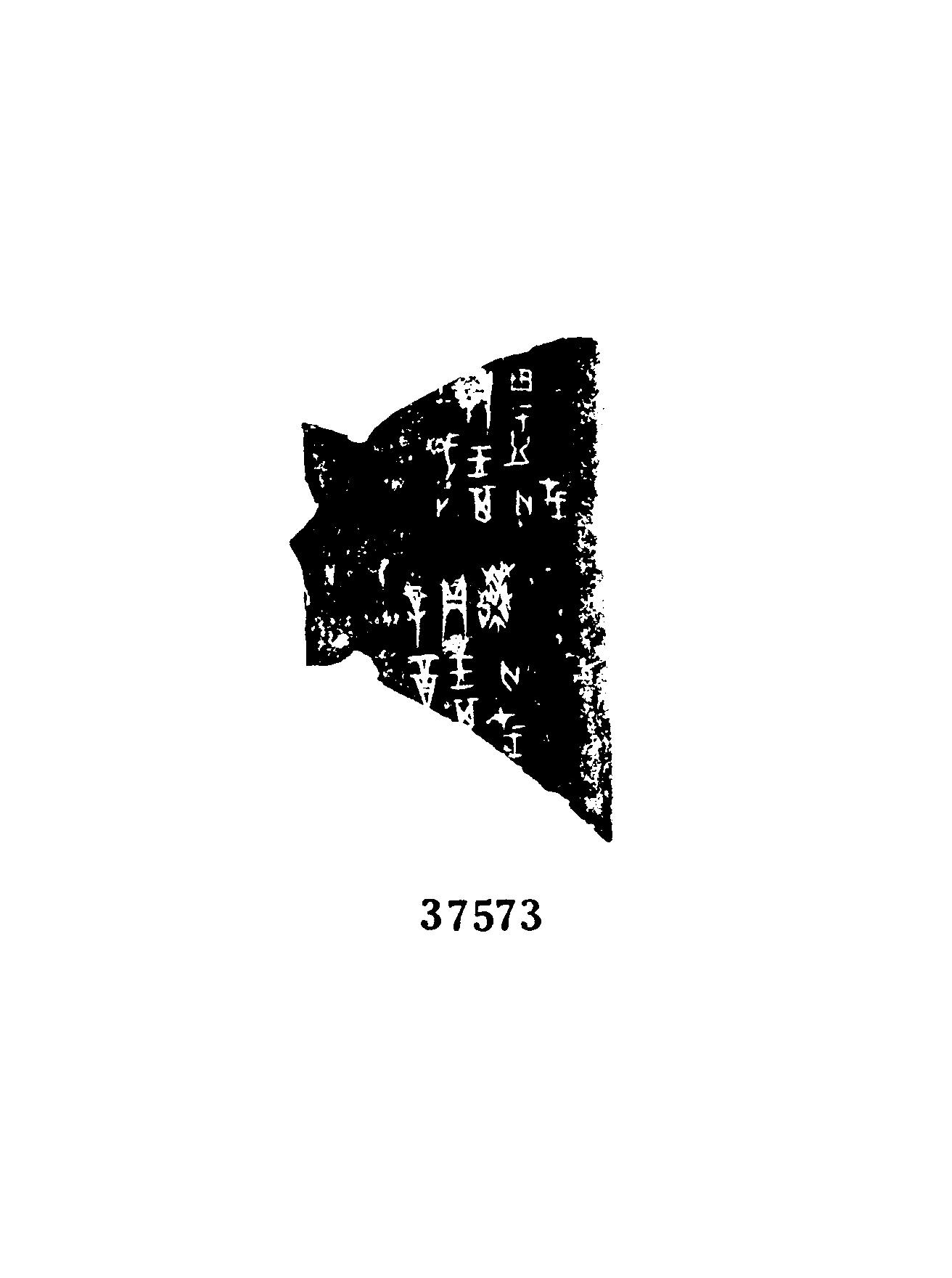 点击图片看大图
