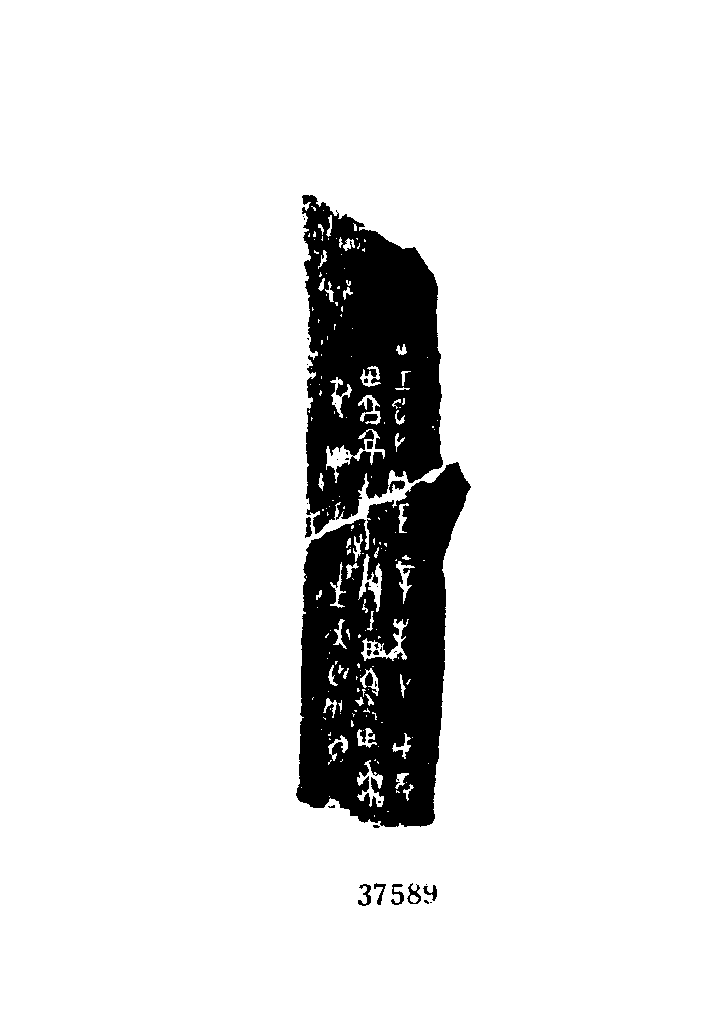 点击图片看大图