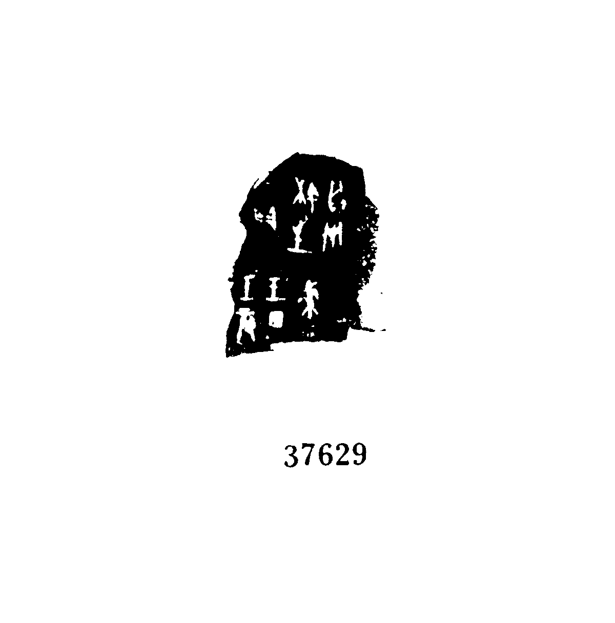 点击图片看大图