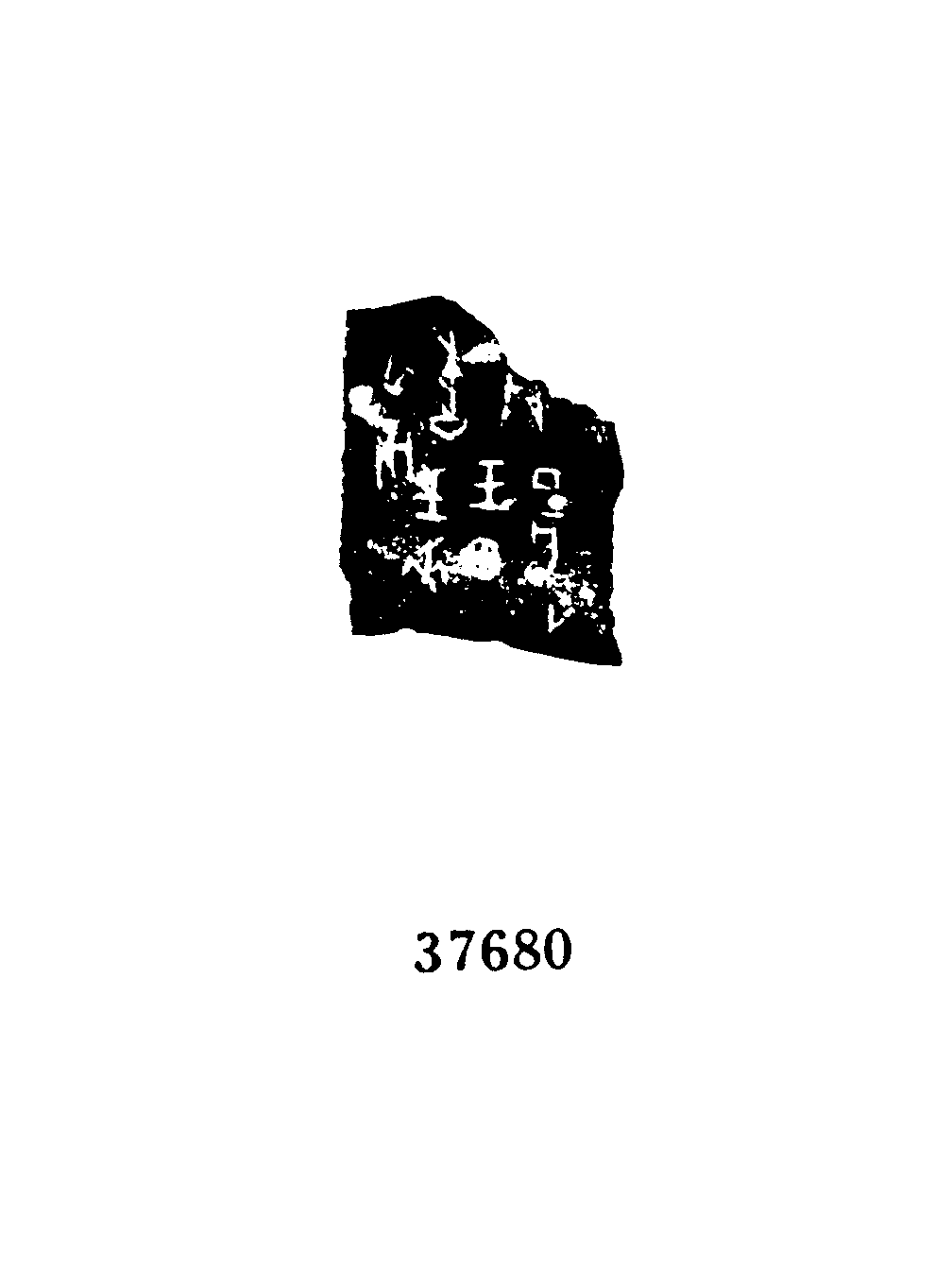 点击图片看大图