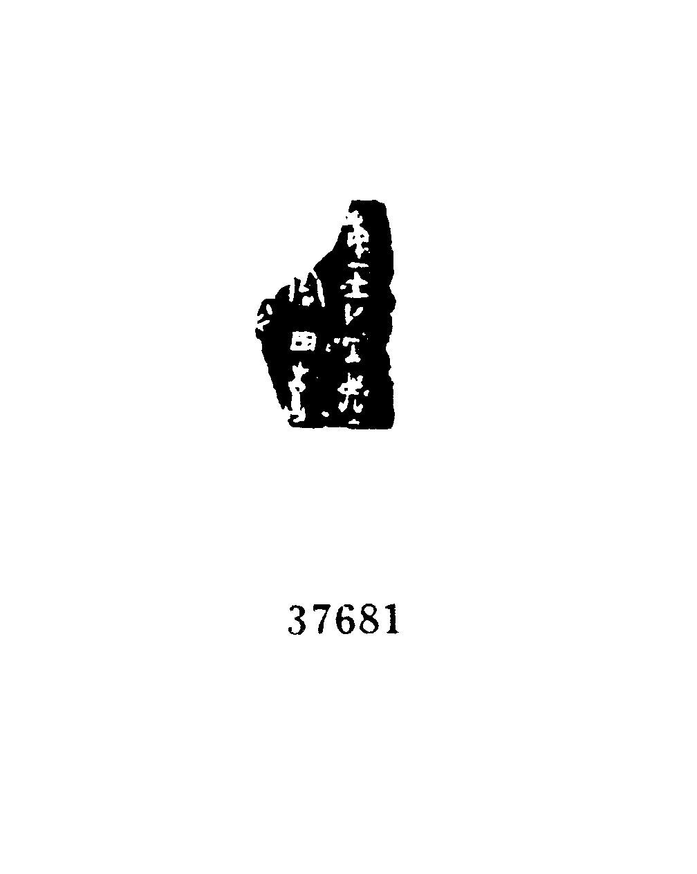 点击图片看大图