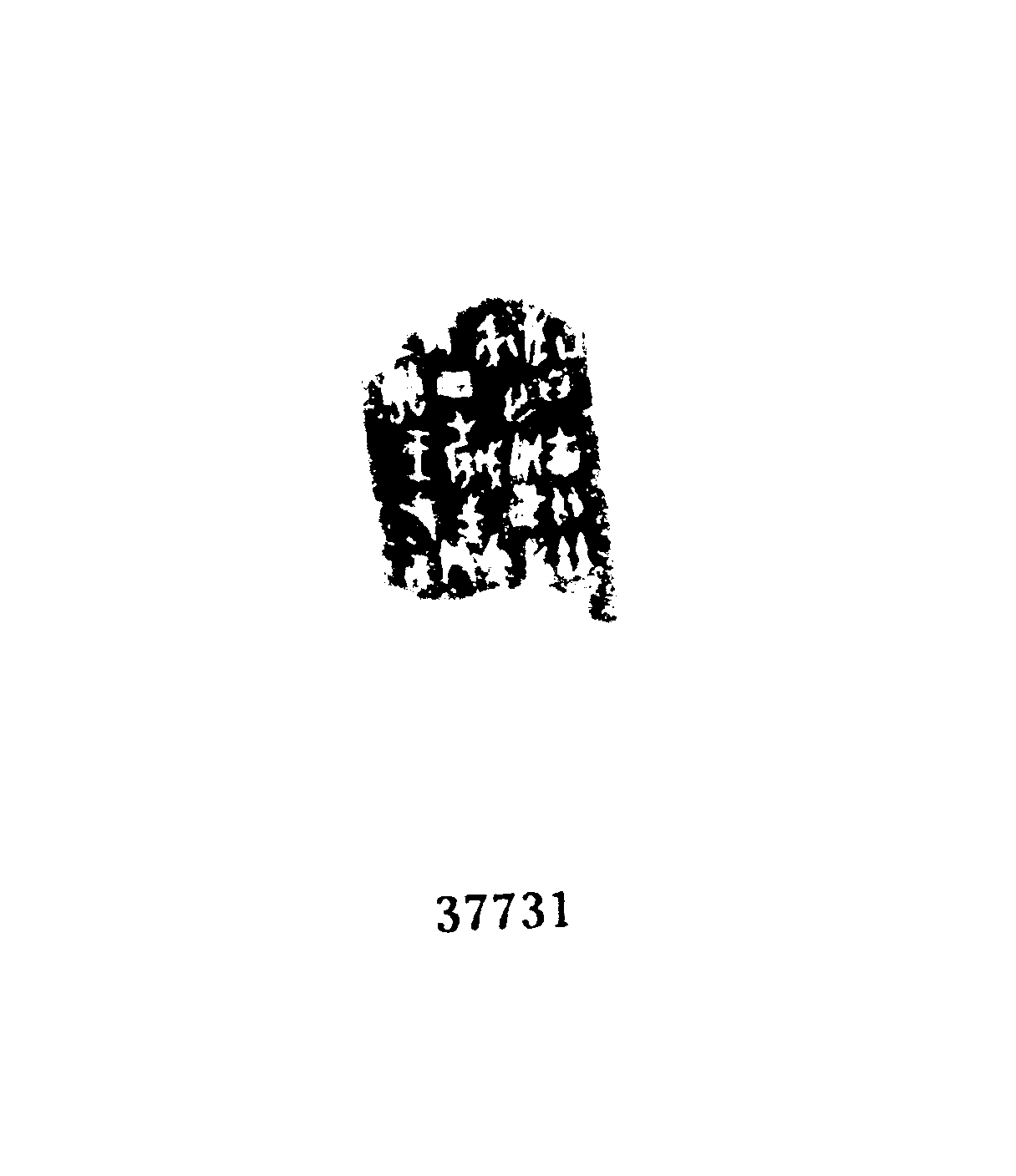 点击图片看大图
