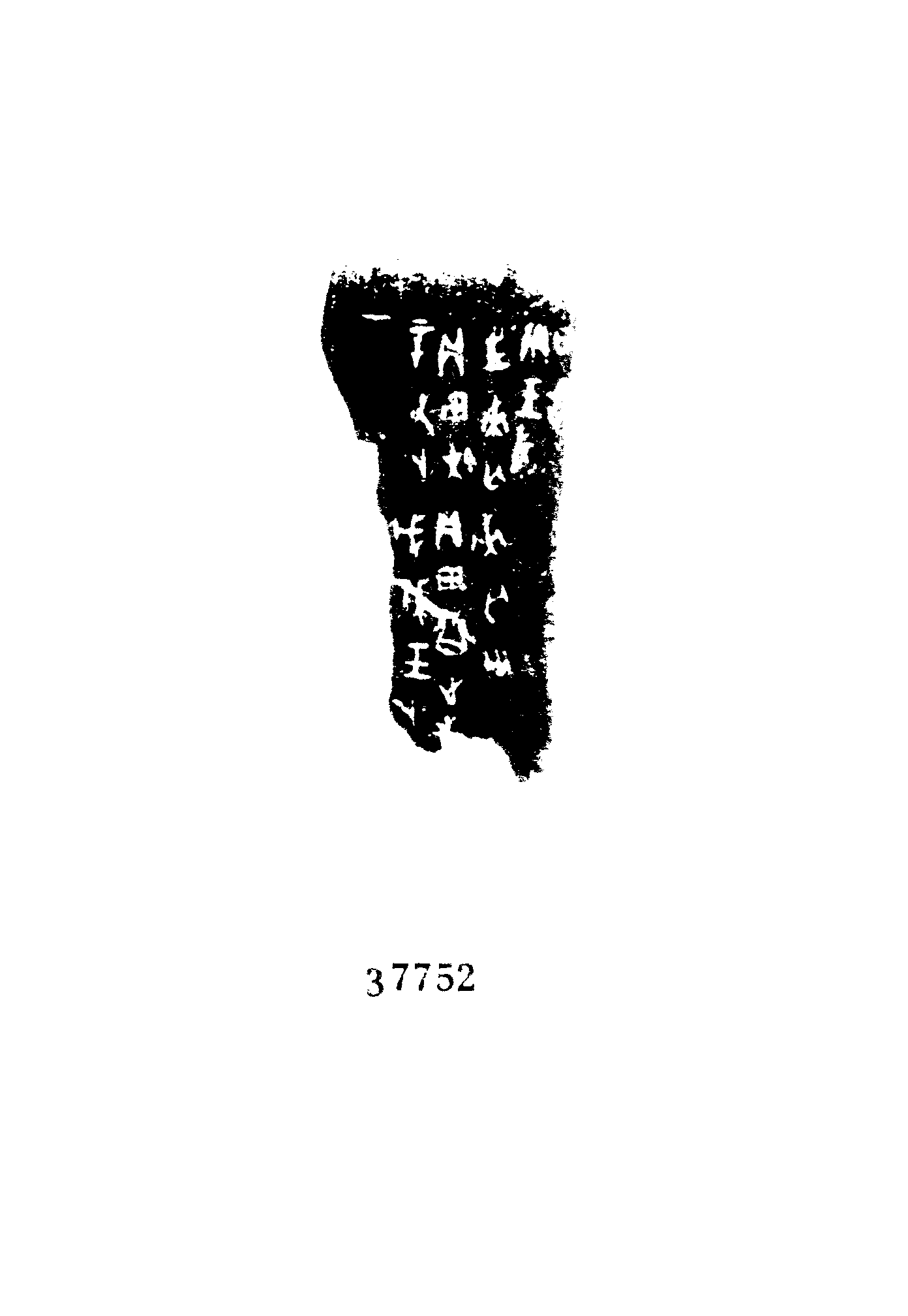 点击图片看大图