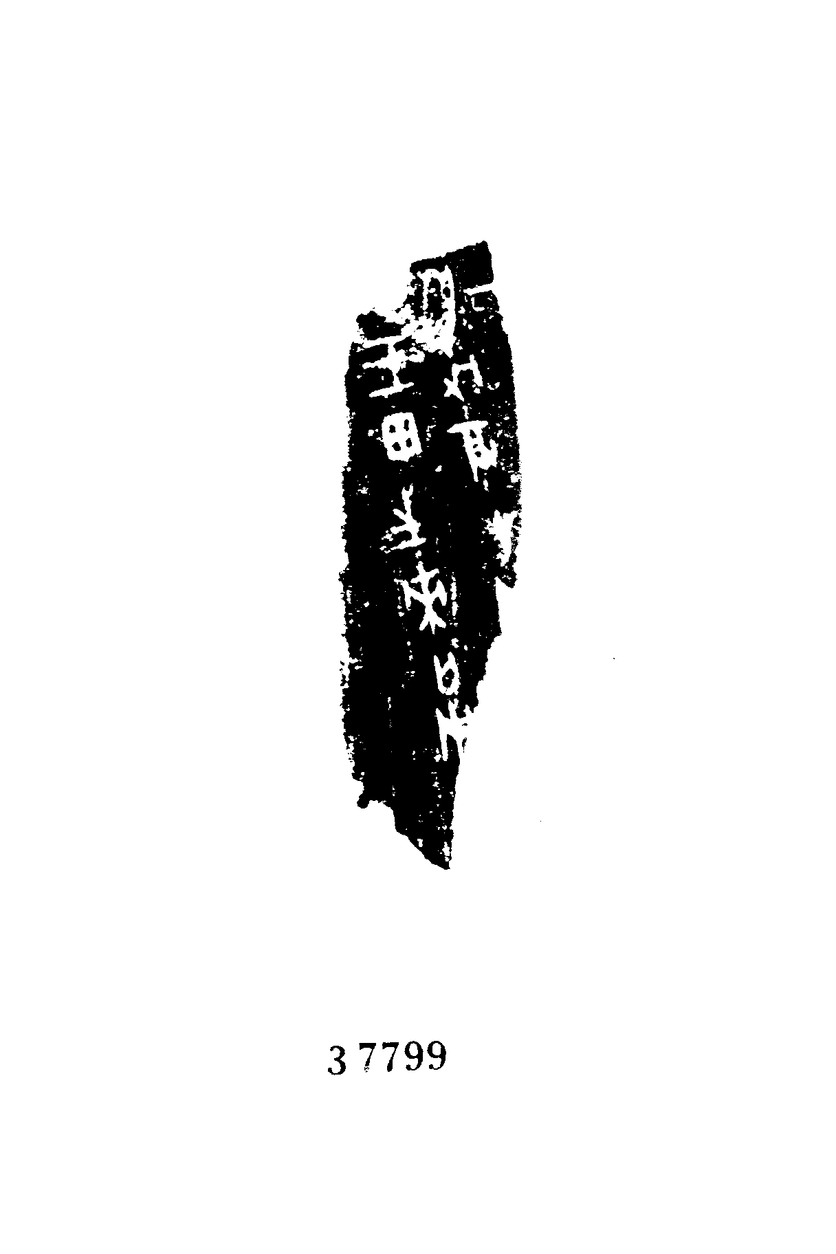 点击图片看大图