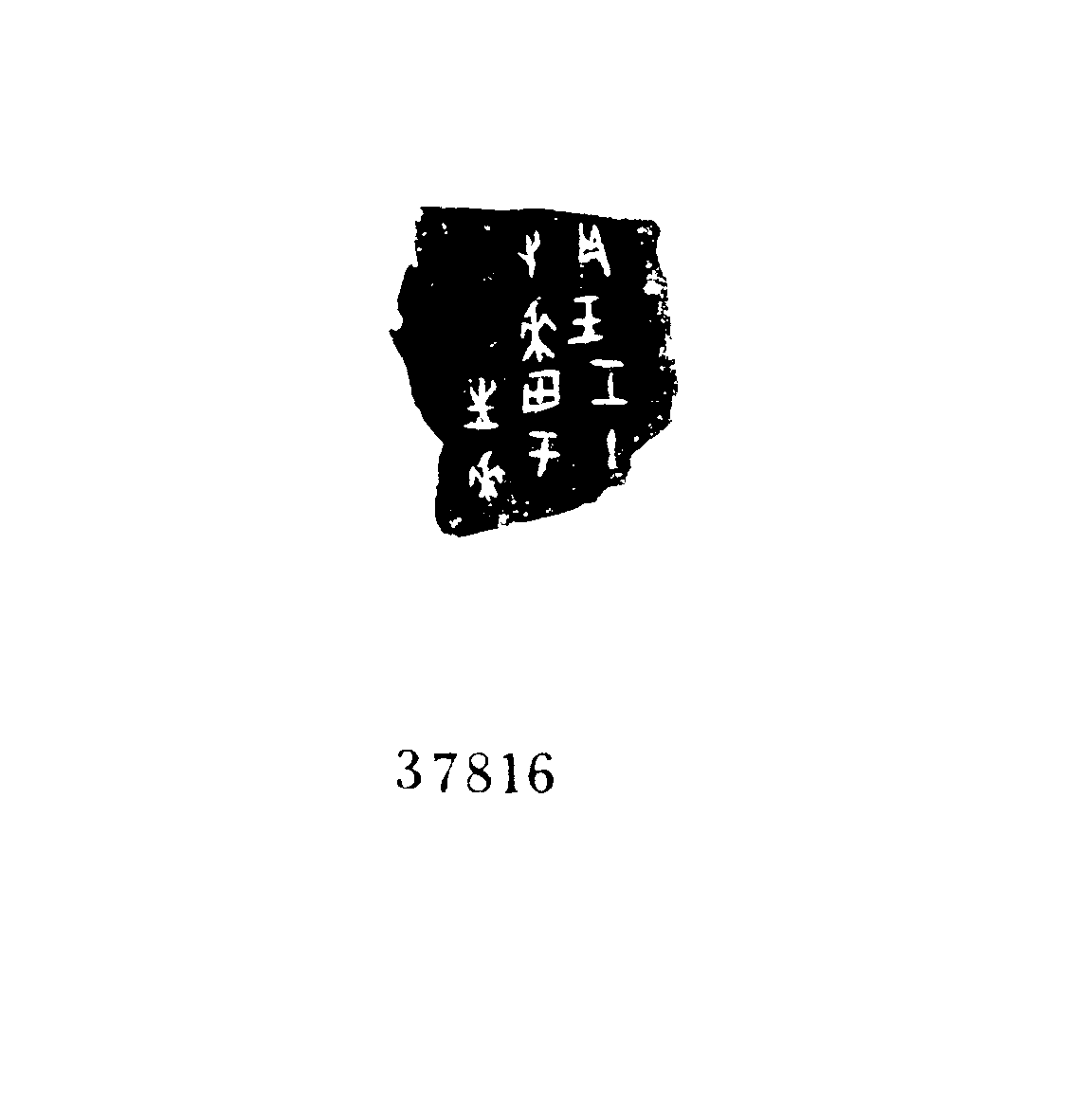 点击图片看大图