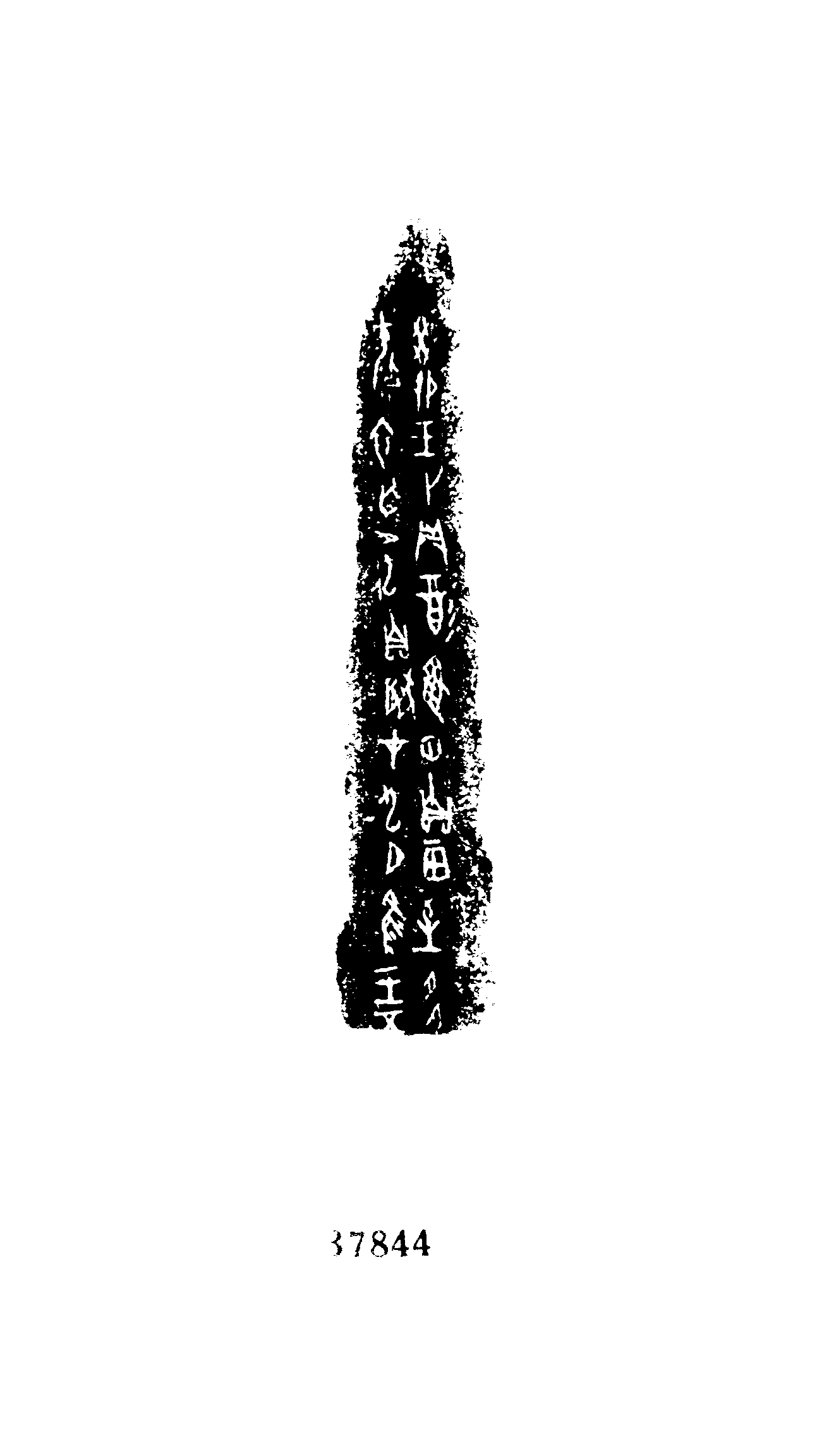 点击图片看大图