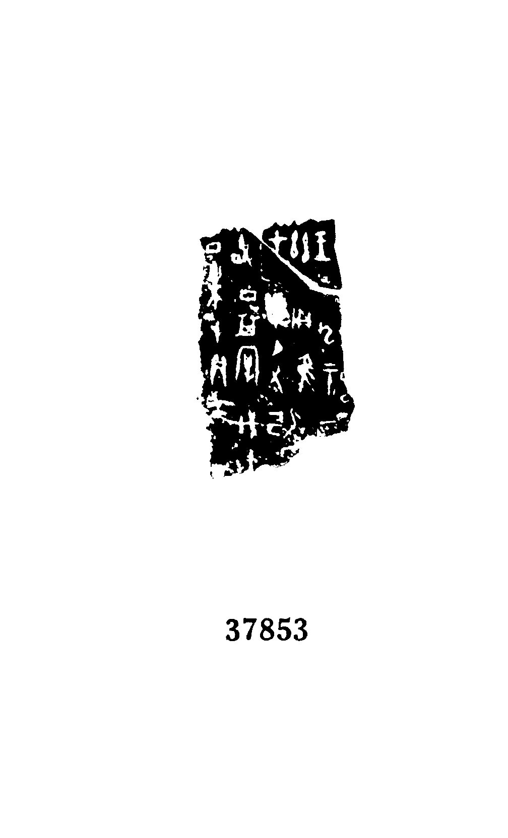 点击图片看大图