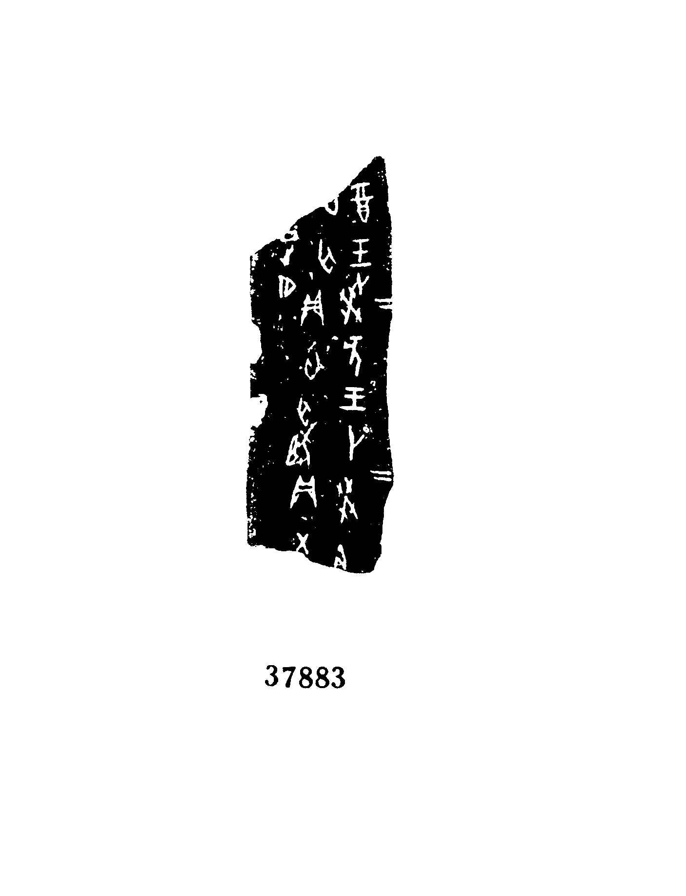 点击图片看大图