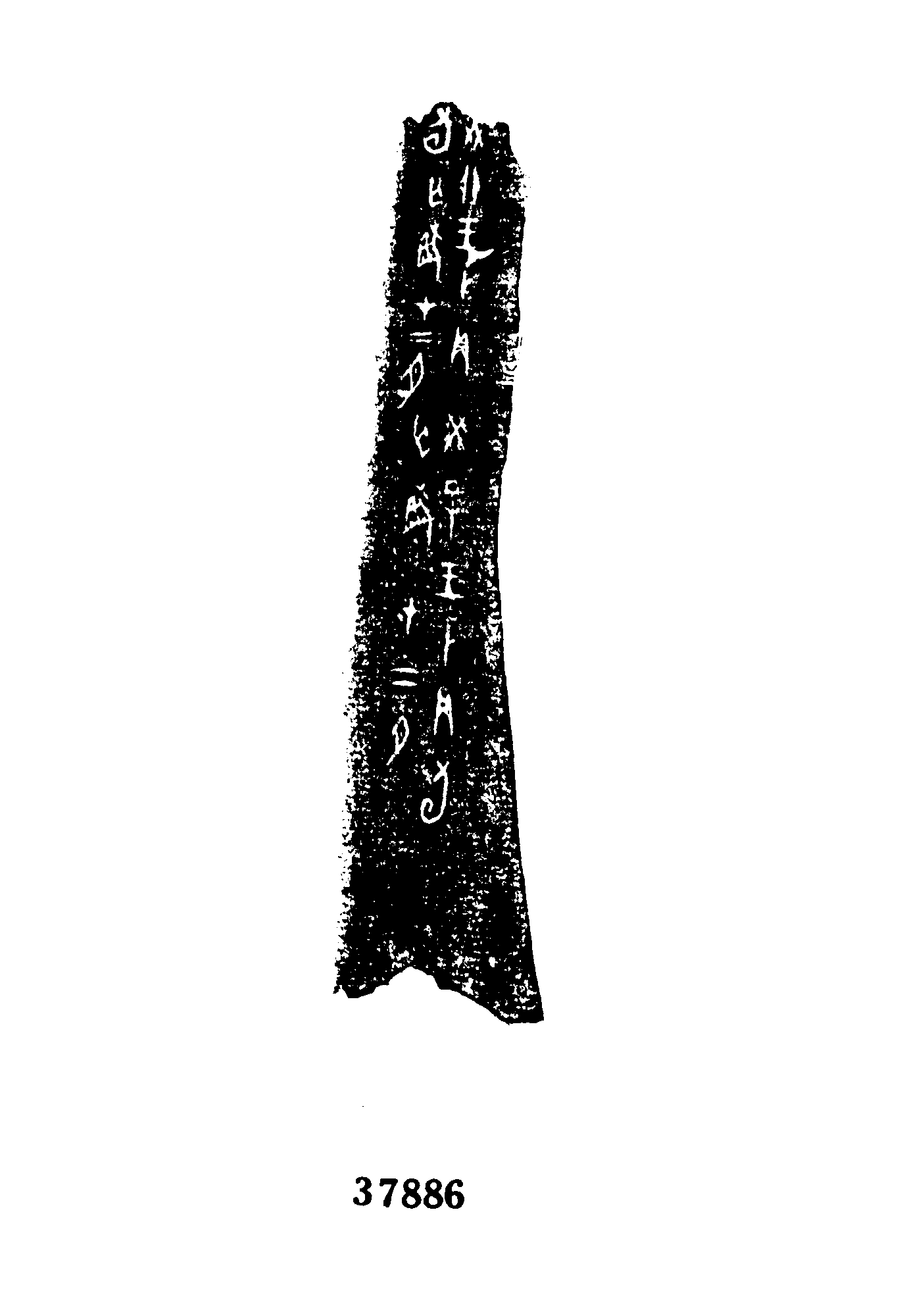 点击图片看大图