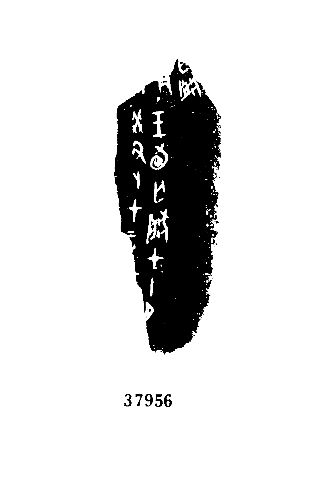 点击图片看大图