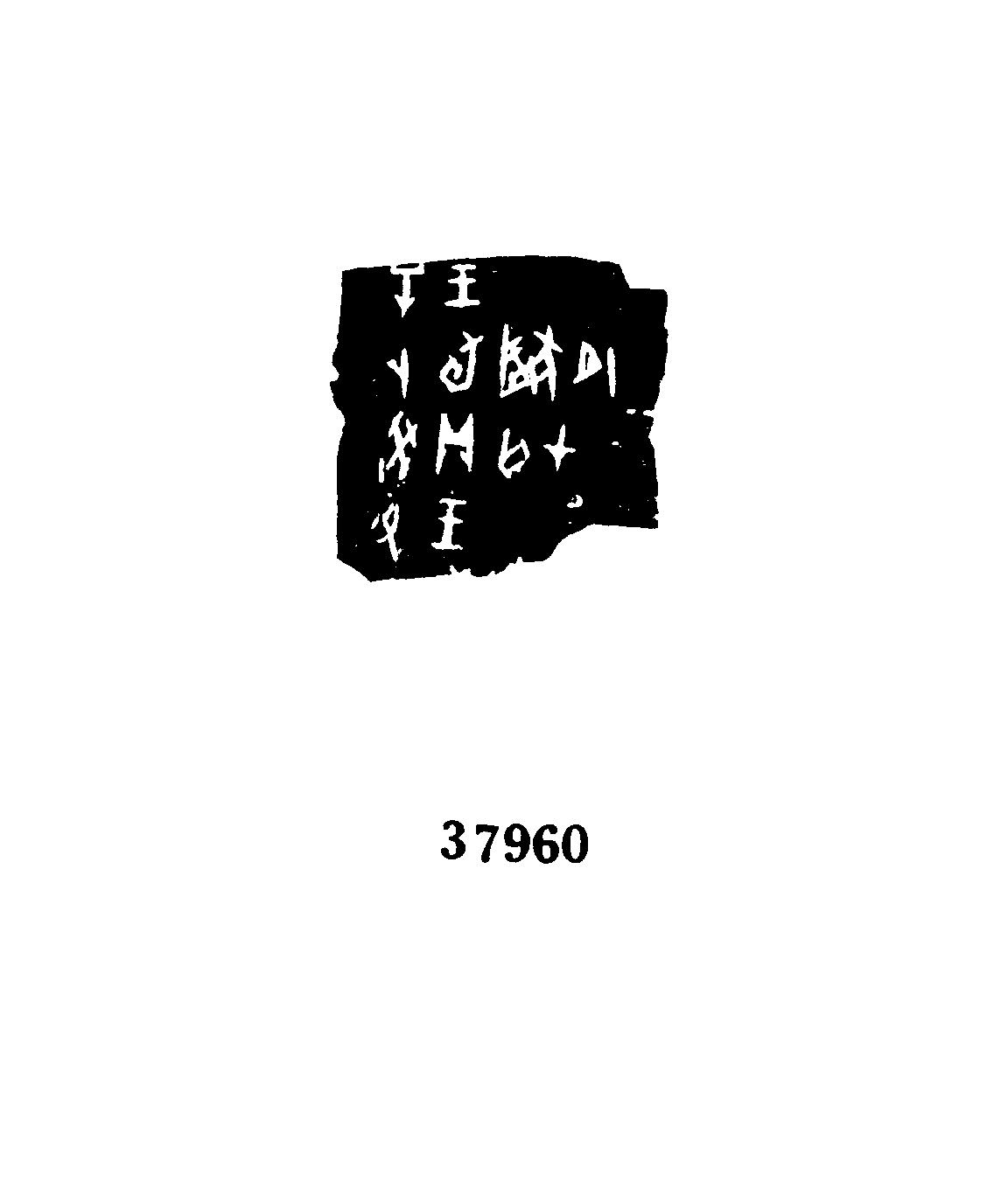 点击图片看大图