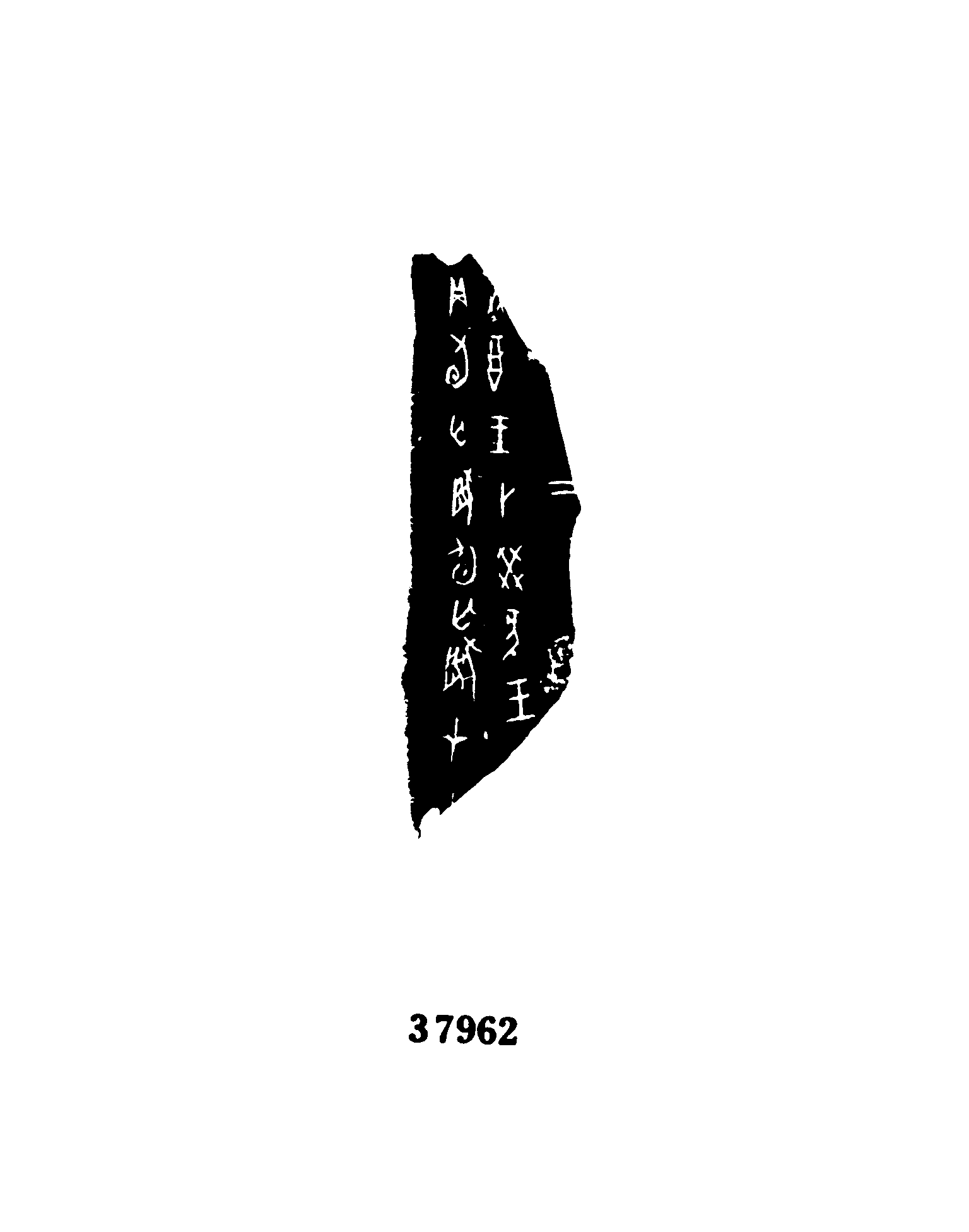 点击图片看大图