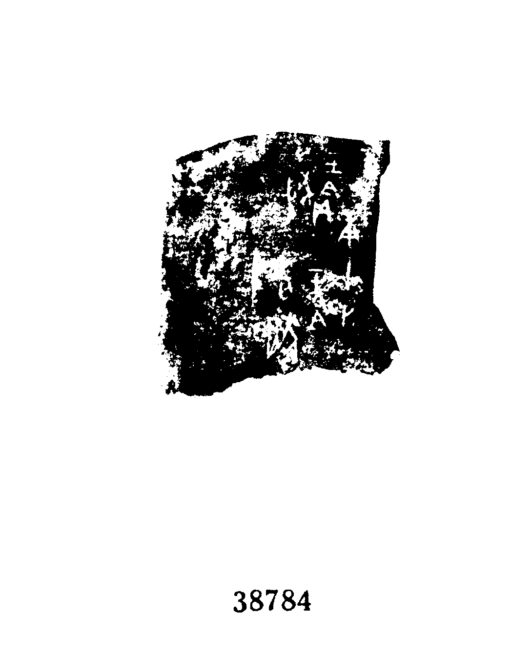 点击图片看大图