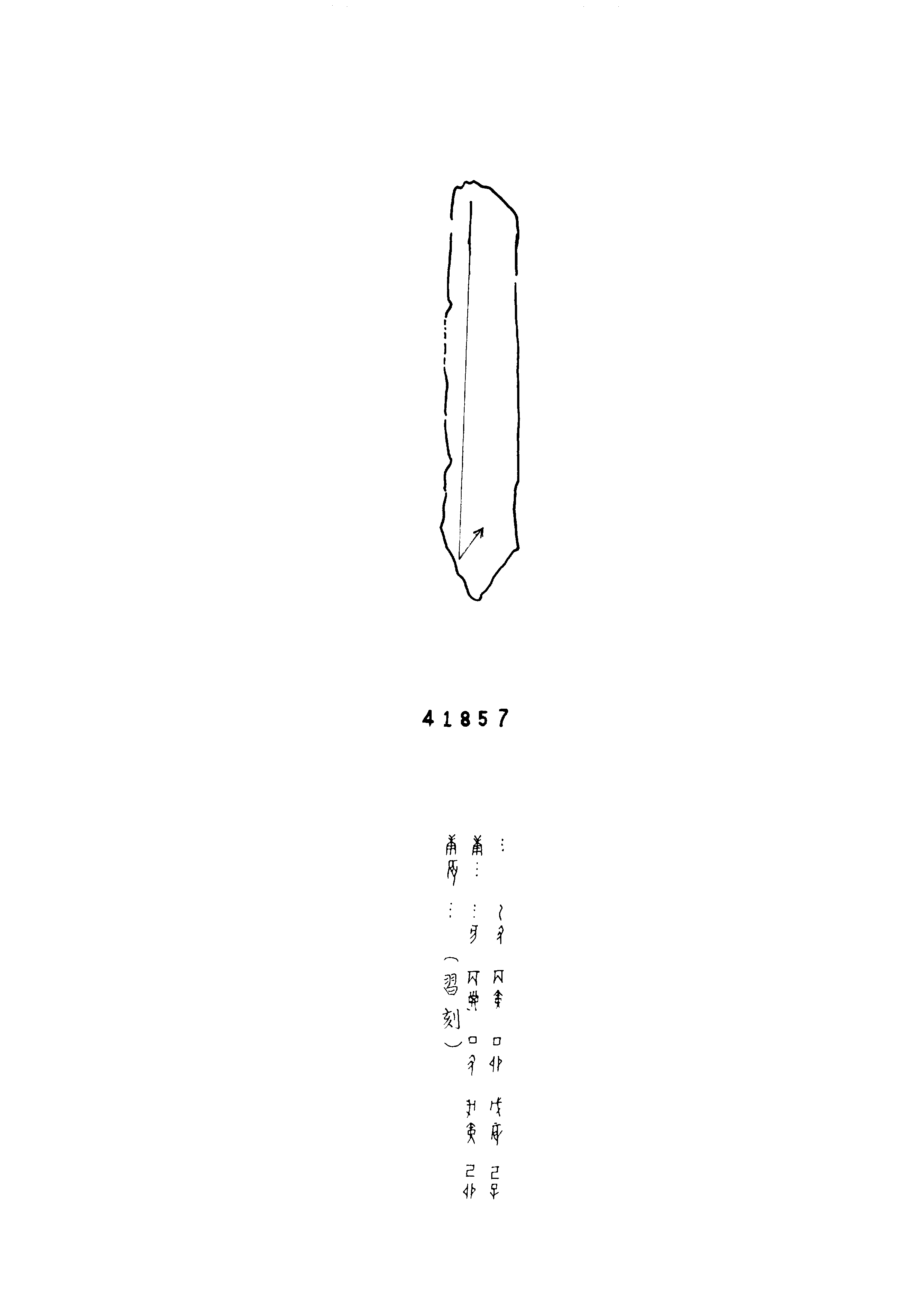 点击图片看大图