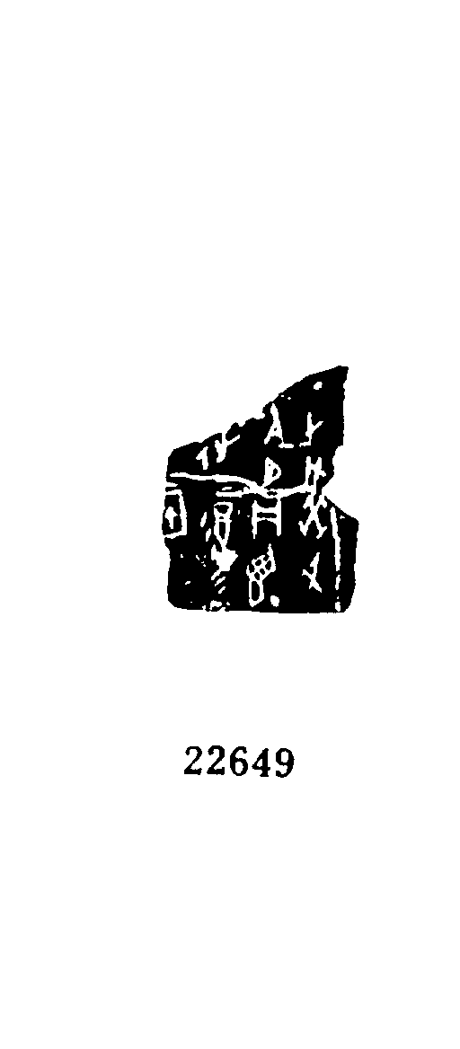 点击图片看大图