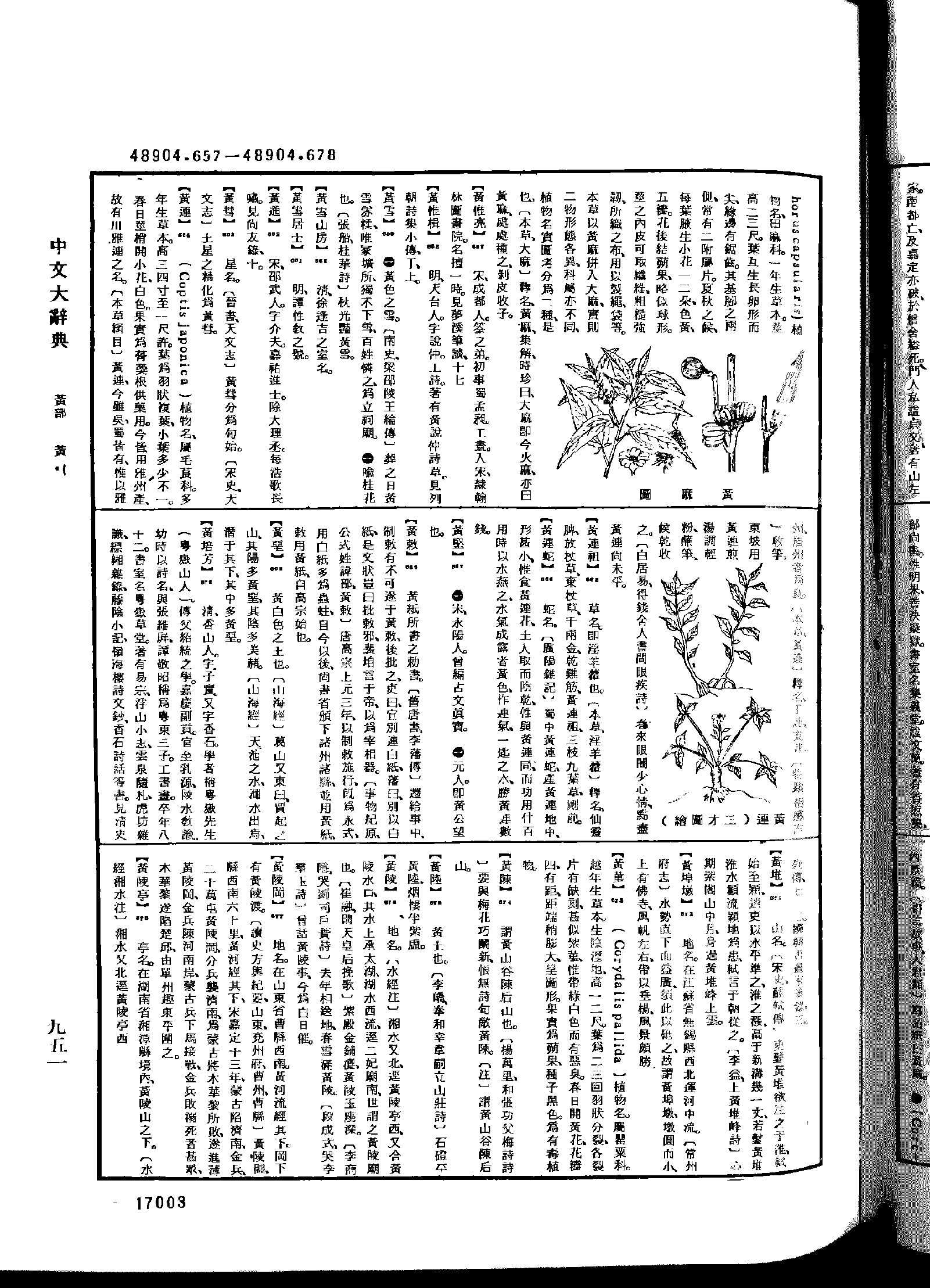 《中文大辞典》 第17003页